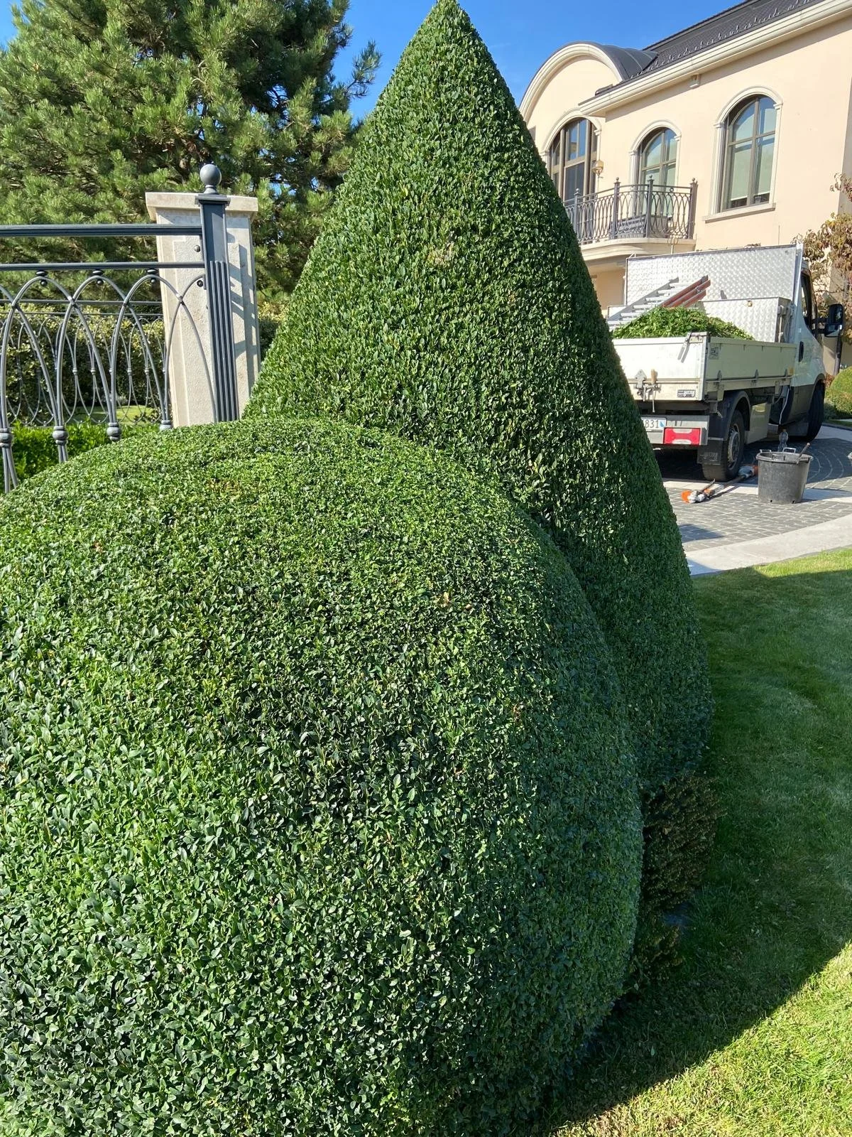 Gepflegte grüne Hecke mit zwei Arten von Formen, eine runde und eine spitze, vor einem Haus und einem weißen Lieferwagen.
