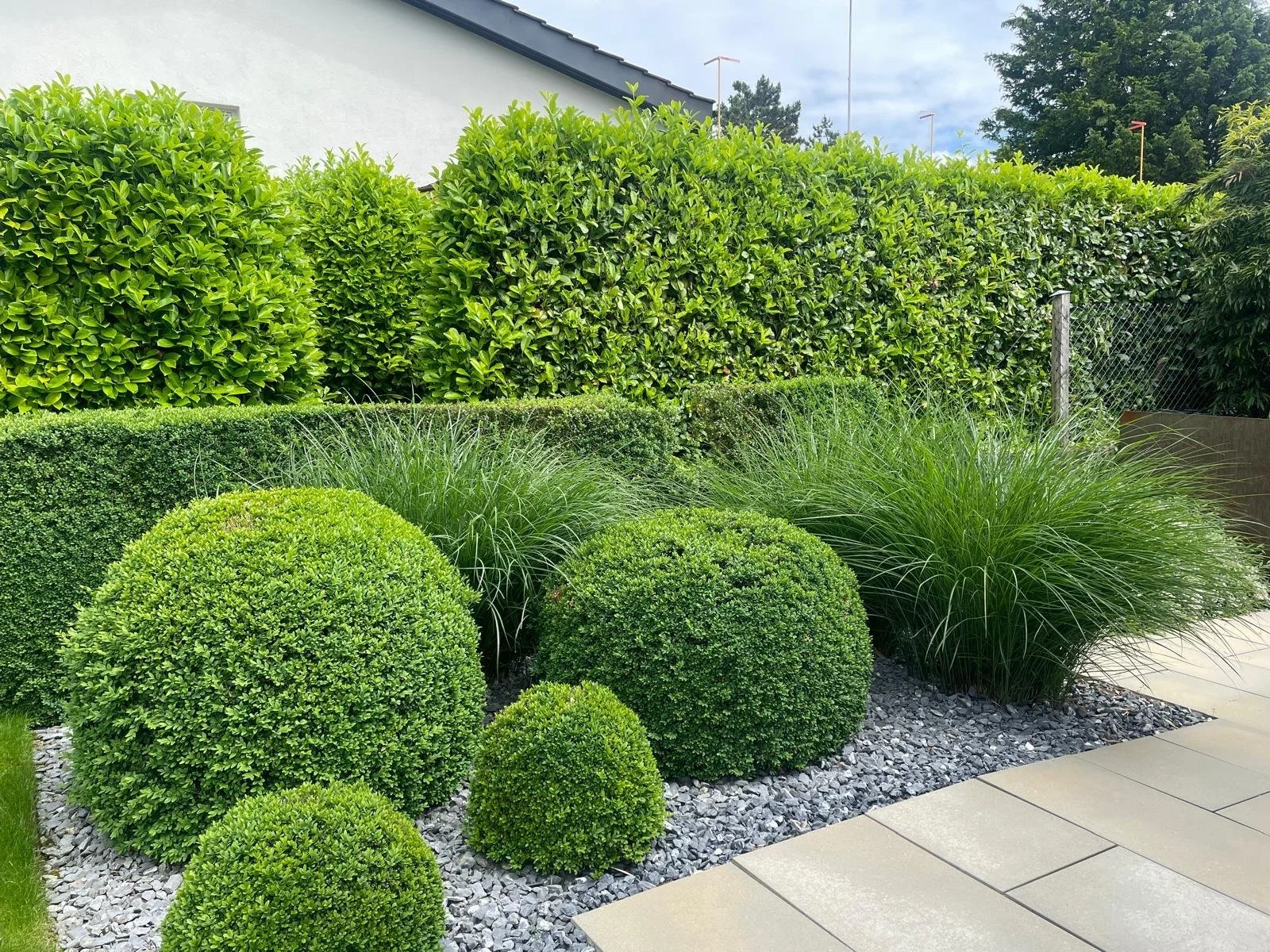 Gepflegter Garten mit verschiedenen runden und quadratischen Buschformen und hohen Hecken, umgeben von Kies und Gehwegplatten.