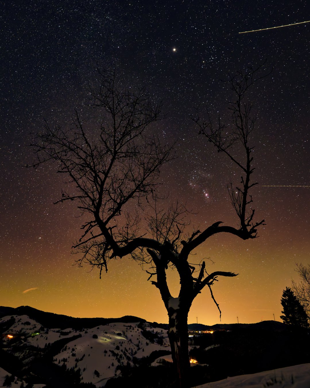 A7402689_DxOHeller Vignette.jpg