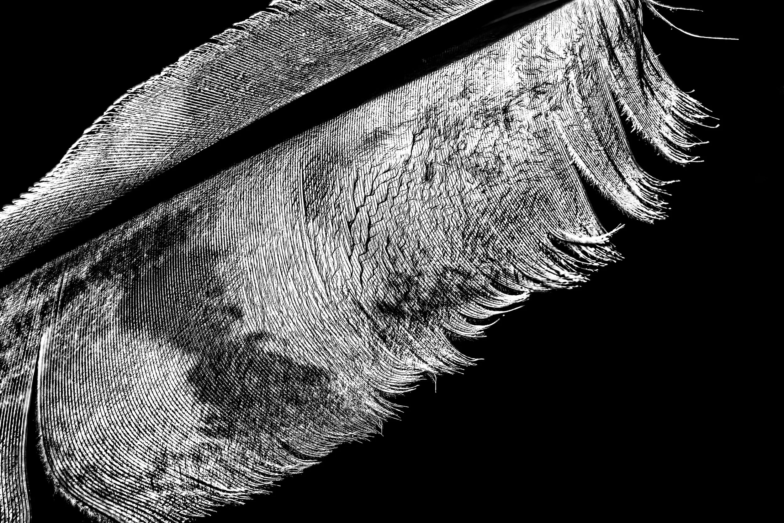 Im Werden [Eintauchen>]