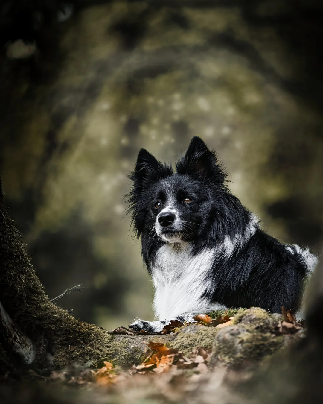 DSC07112_DxO Luzi BreitbodenWalk.jpg