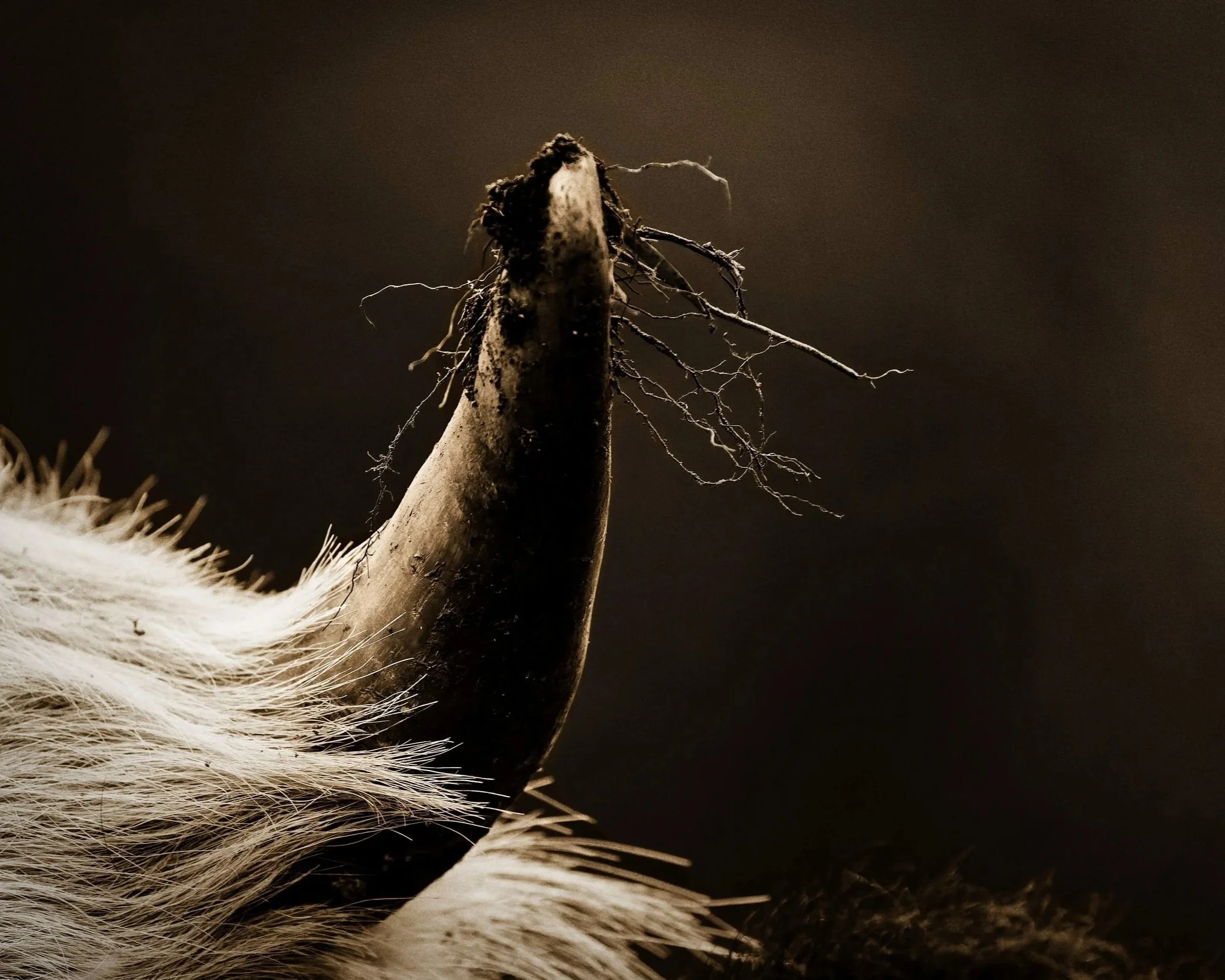 Urstoff [Eintauchen>]