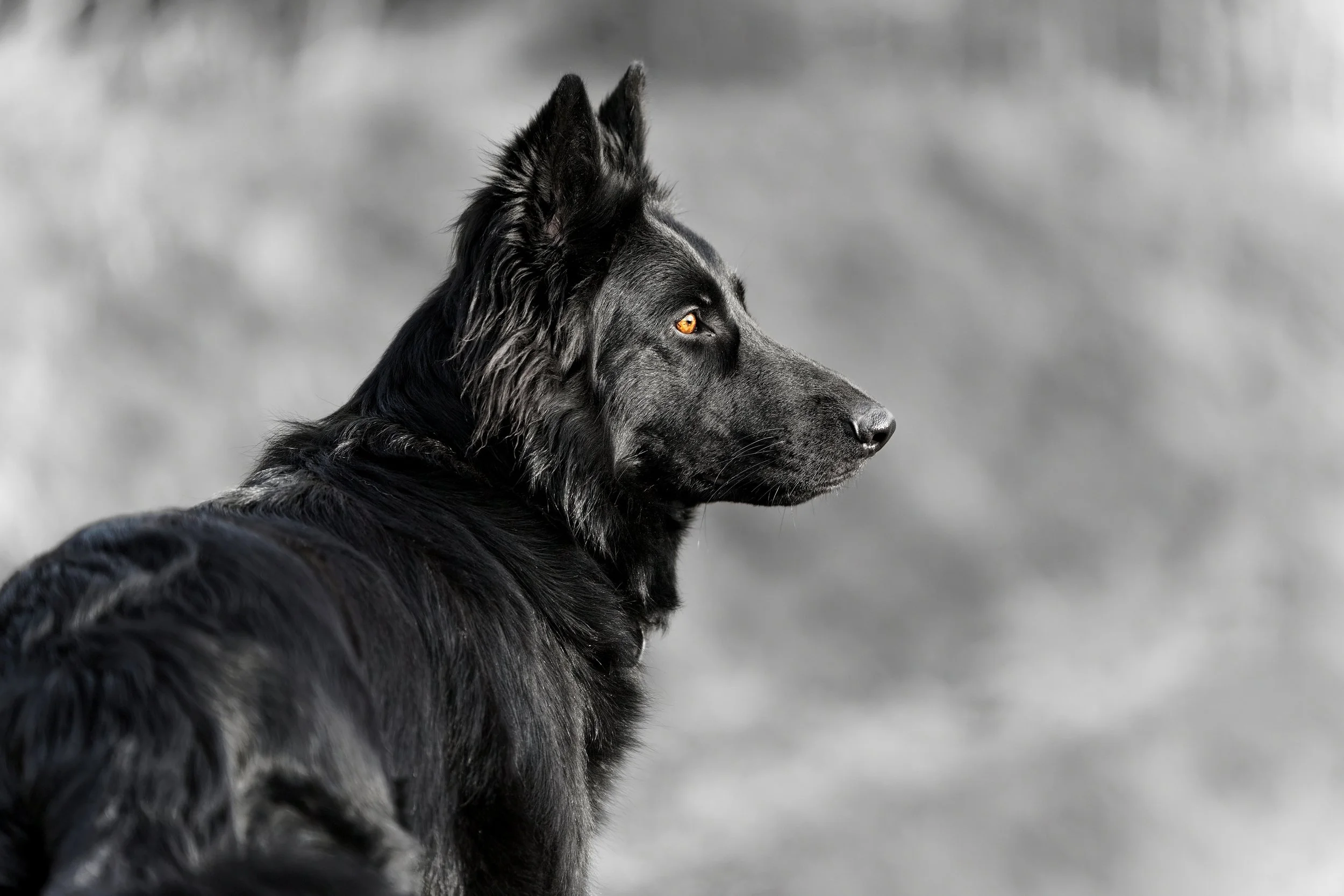 A1_04142_DxO Orginalgröße (1).jpg