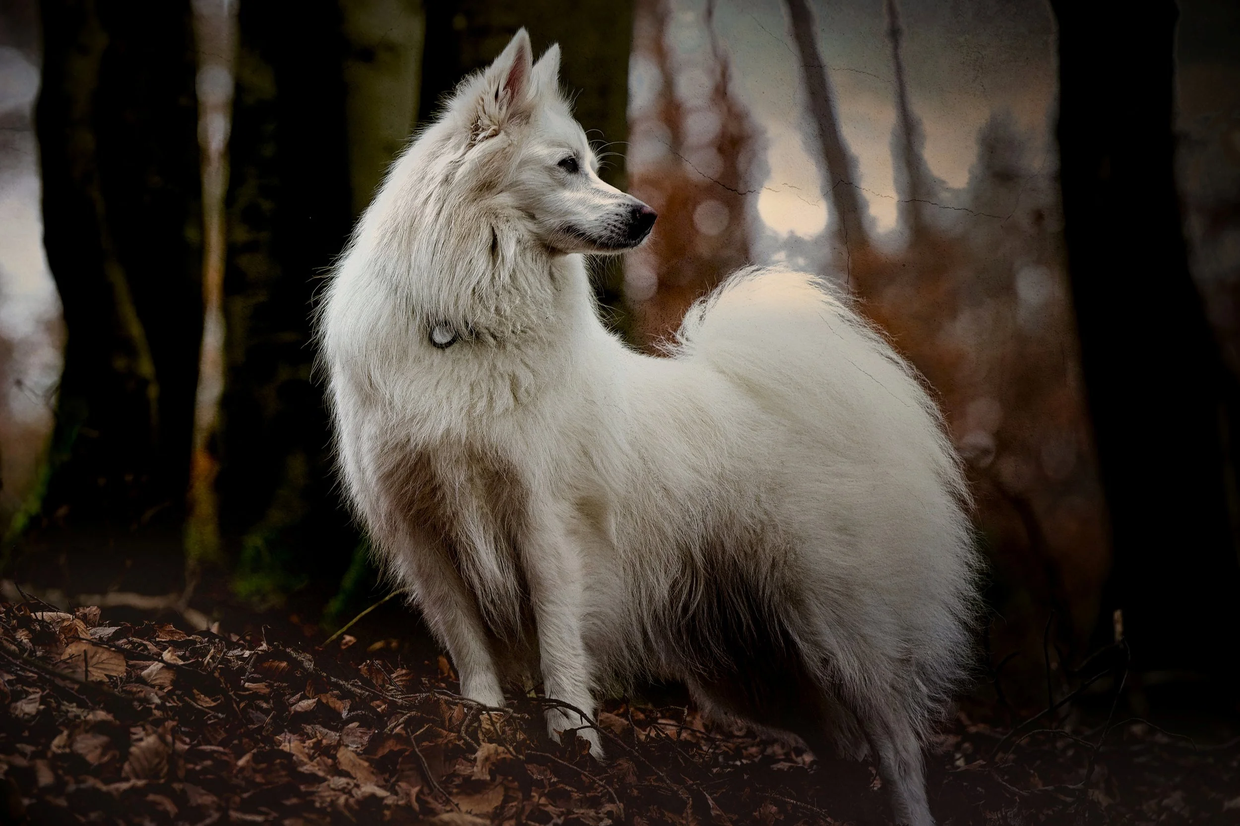 DSC04121_DxO_22025.12.18 3 2.jpg