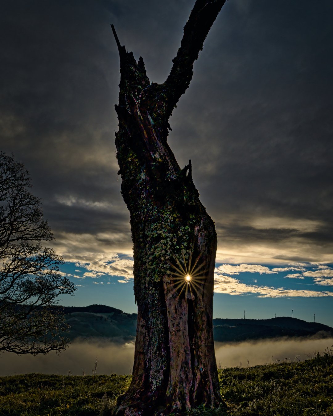 A7402476_DxO 2024.10.28.jpg