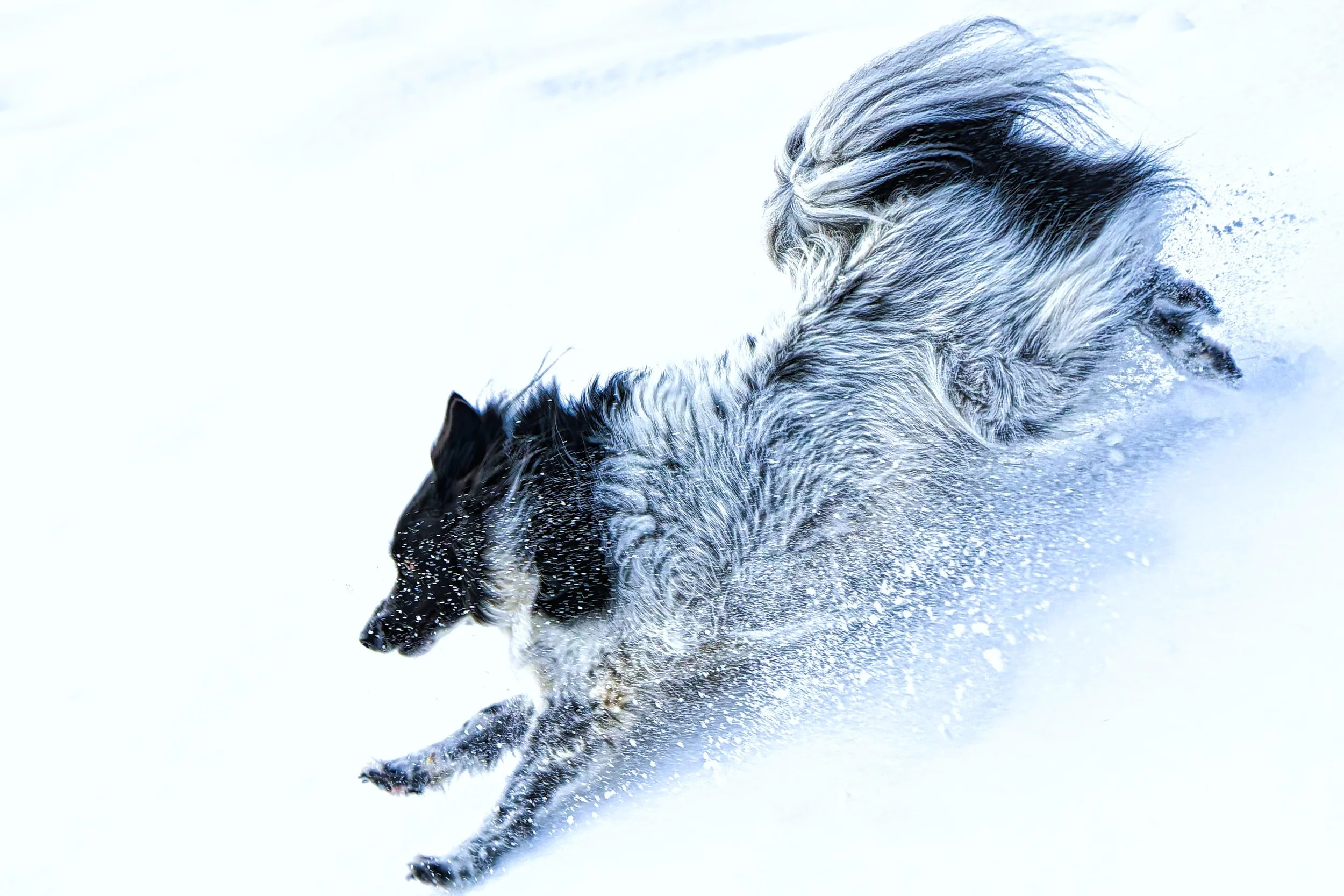 DSC03934_DxO Kopie für selfi.jpg