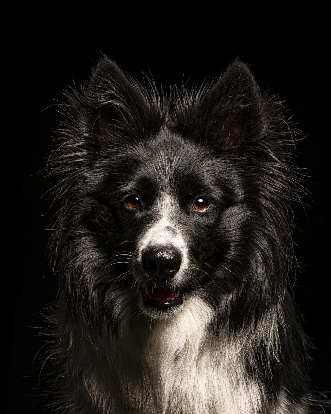 A7401099_DxO Lutzi portrait.jpg