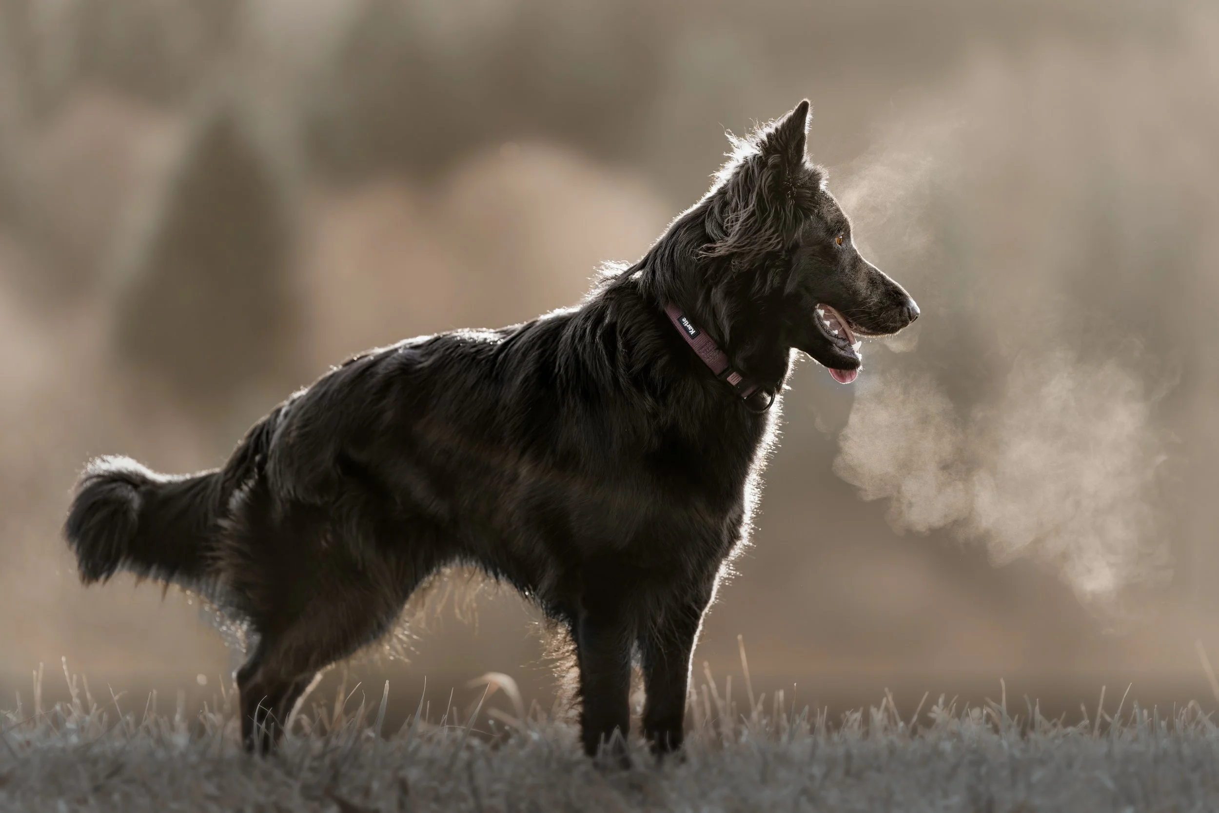 A1_04118_DxO Orginalgröße lotta reduziert.jpg