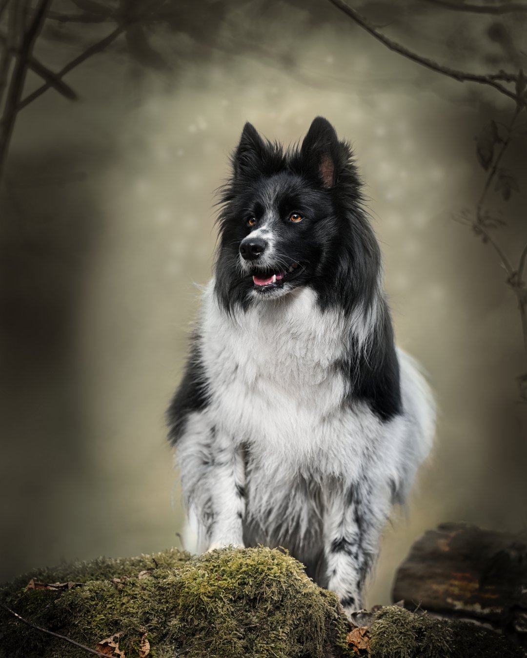 DSC07174_DxO Luzi Schneewutz.jpg