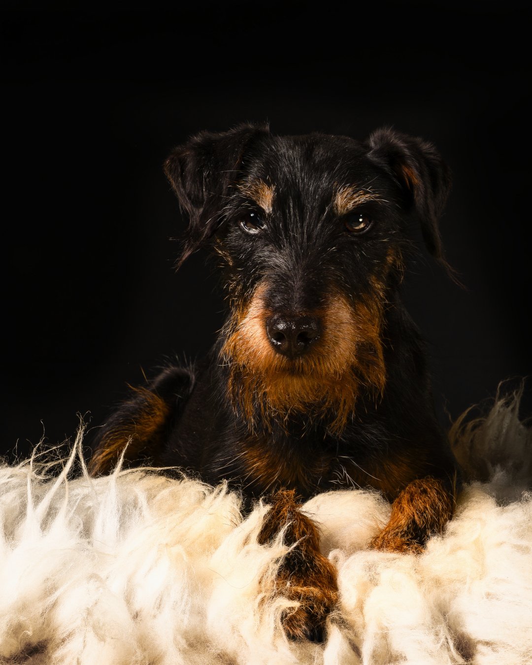 A7401392_DxO Vita Studio.jpg