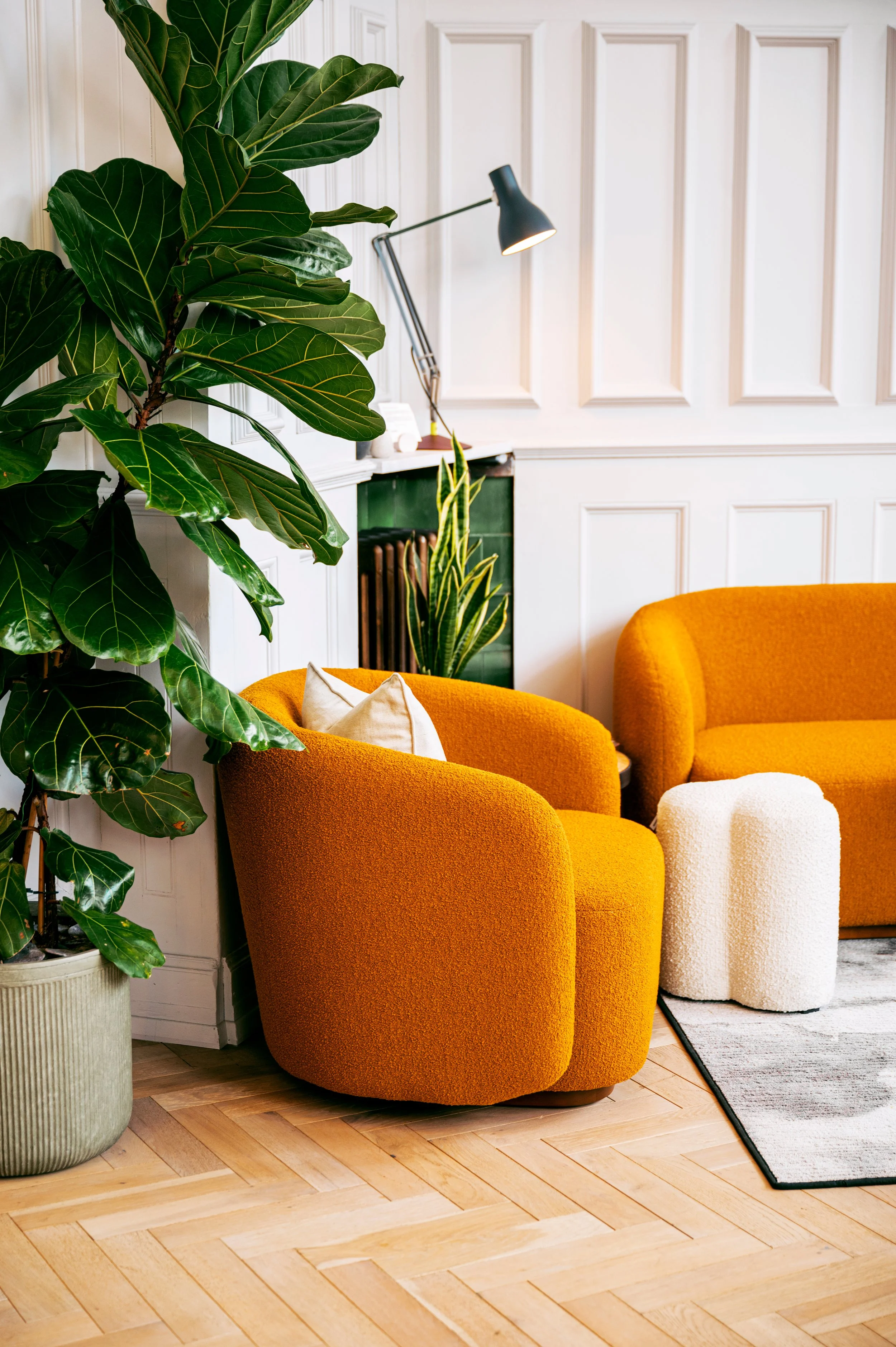 Showroom with large green potted plant, orange armchair with a white pillow, matching orange sofa, white textured ottoman, black floor lamp, and white wall paneling.