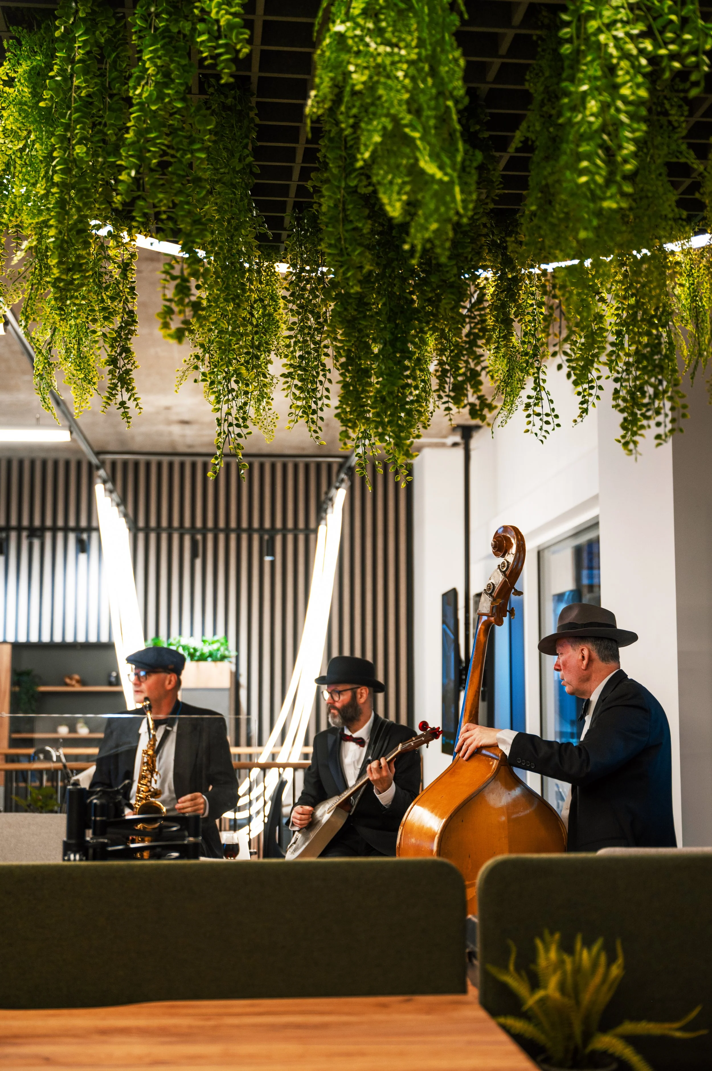 Three musicians performing indoors, with a saxophone, a guitar, and a double bass, dressed in suits and hats, under hanging greenery.