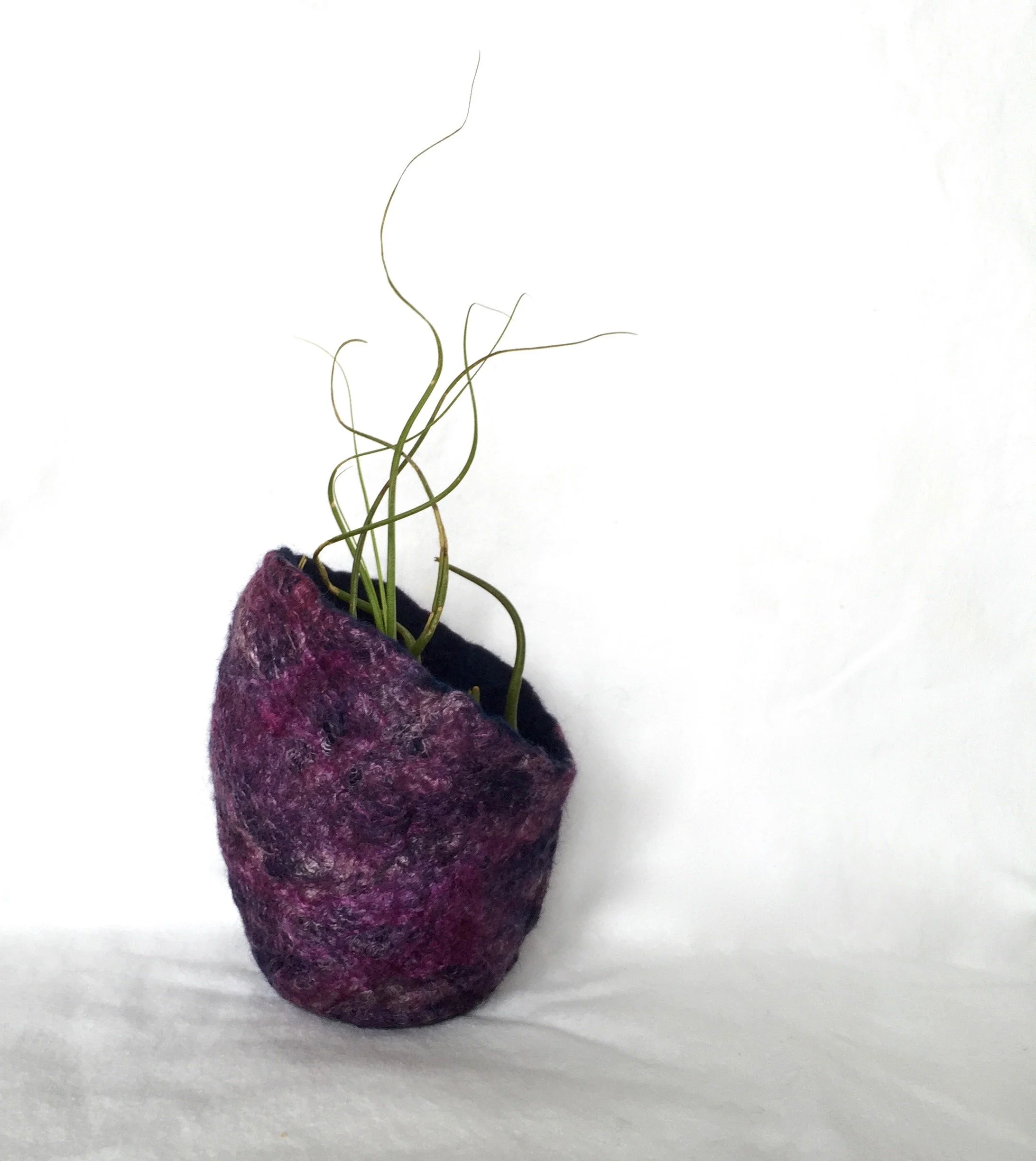 A purple felted plant holder with green, curly plant stems inside, set against a plain white background.
