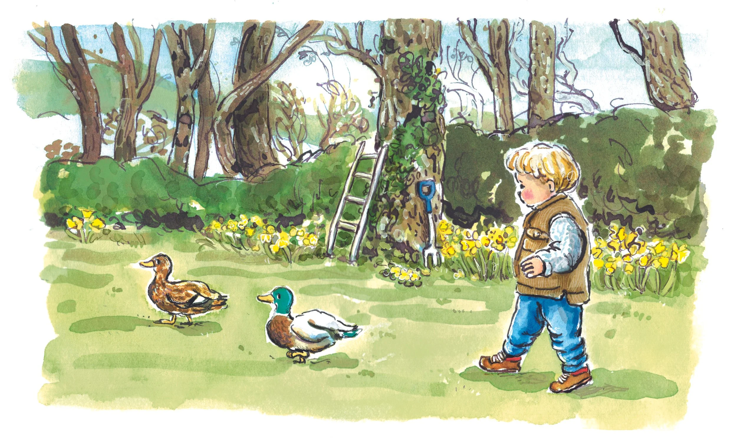 Rory following the ducks.jpg