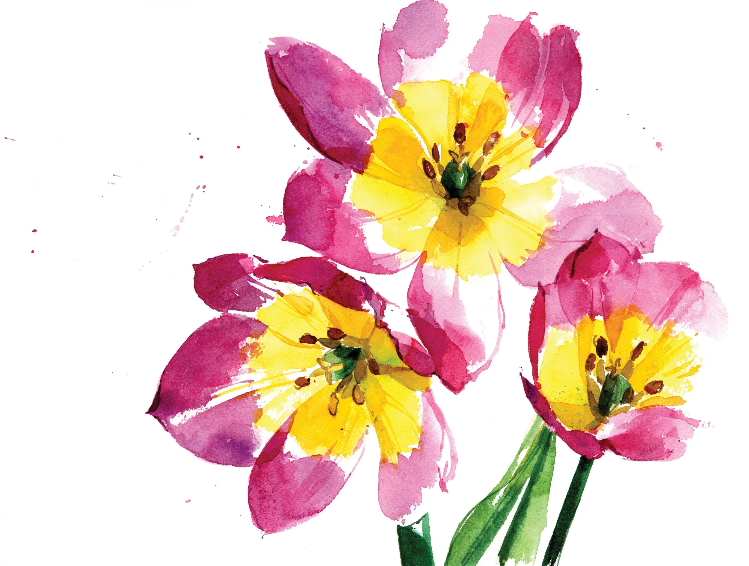 pink and yellow tulips.jpg