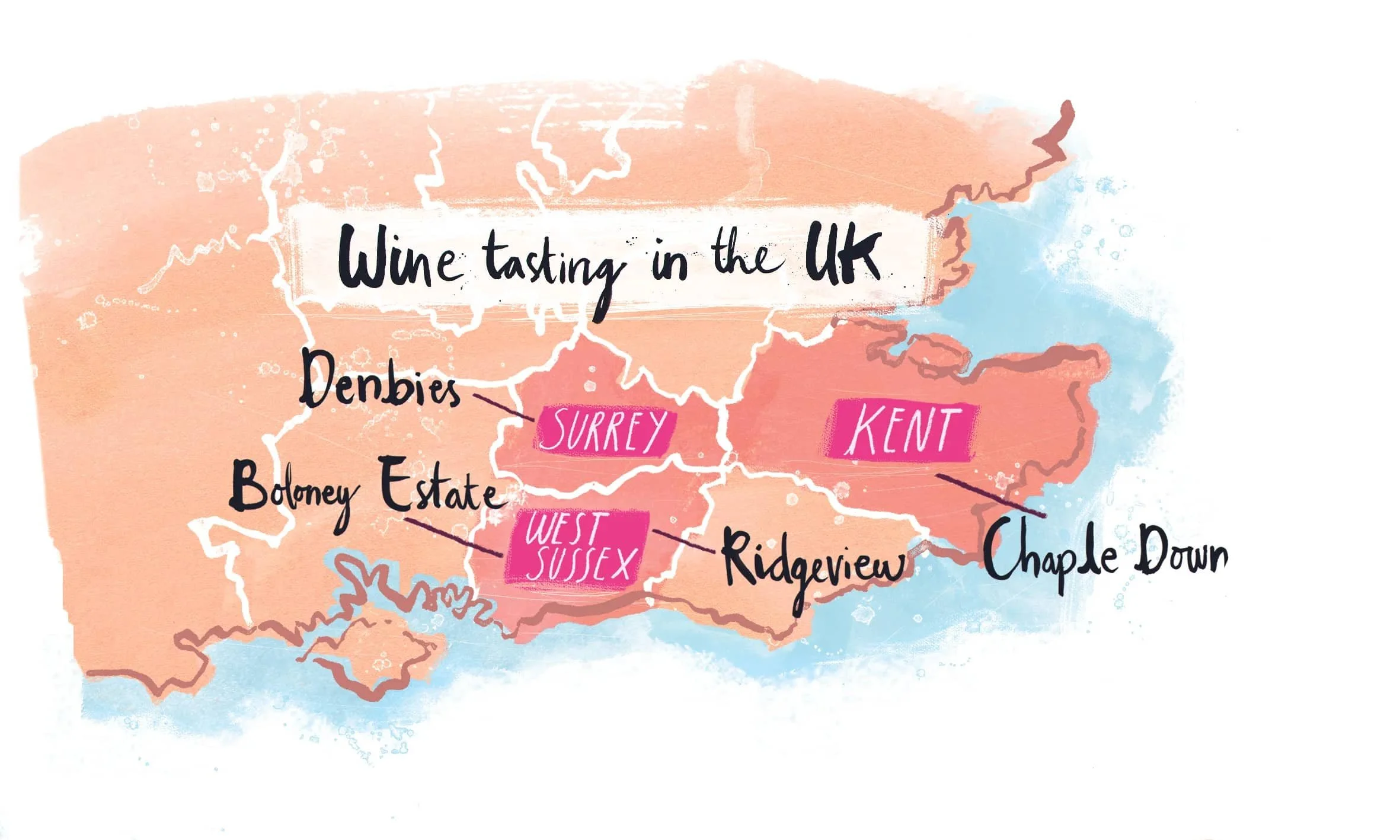Wine investments Map. Illustrated for Marks and Spencer.jpg
