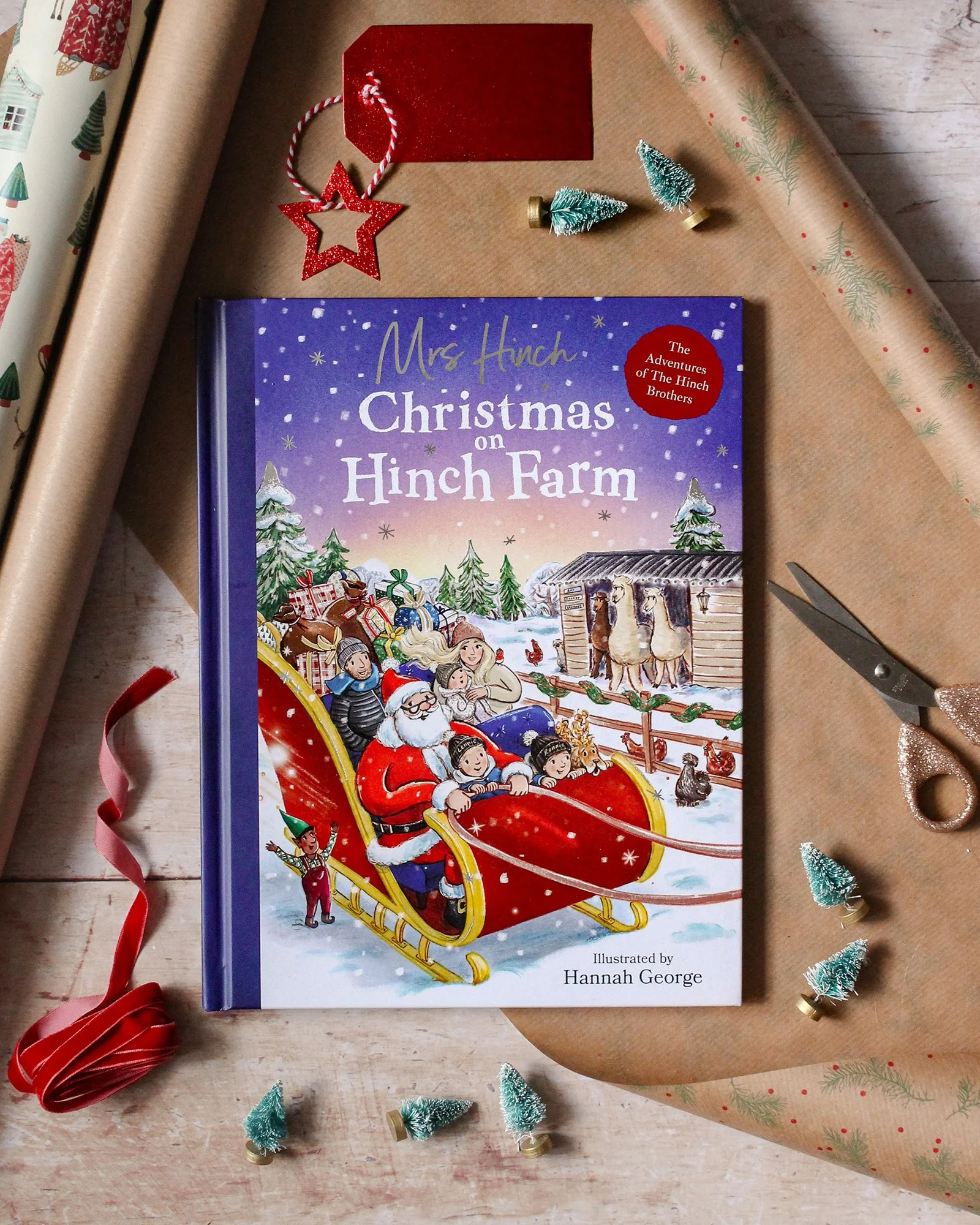 Hinch Christmas photo3.jpeg