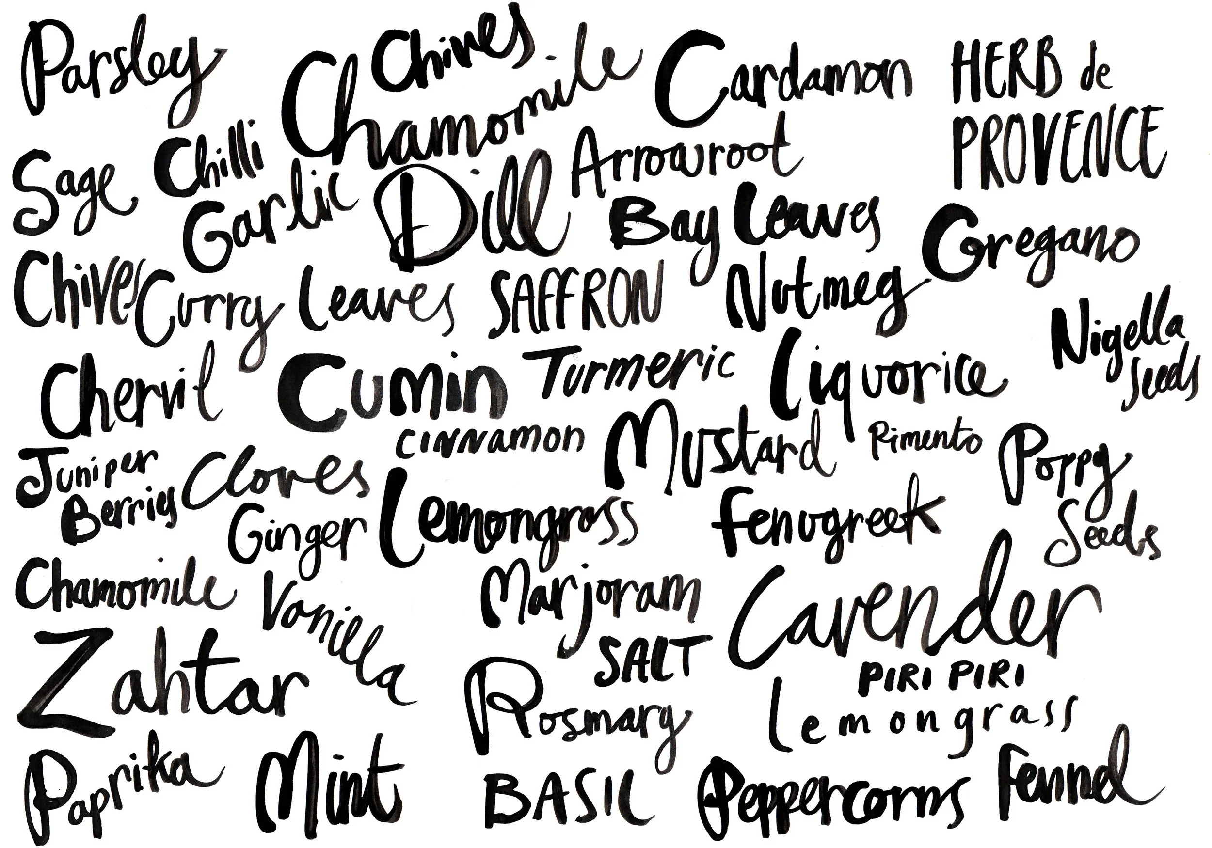 Herbs and spices.jpg