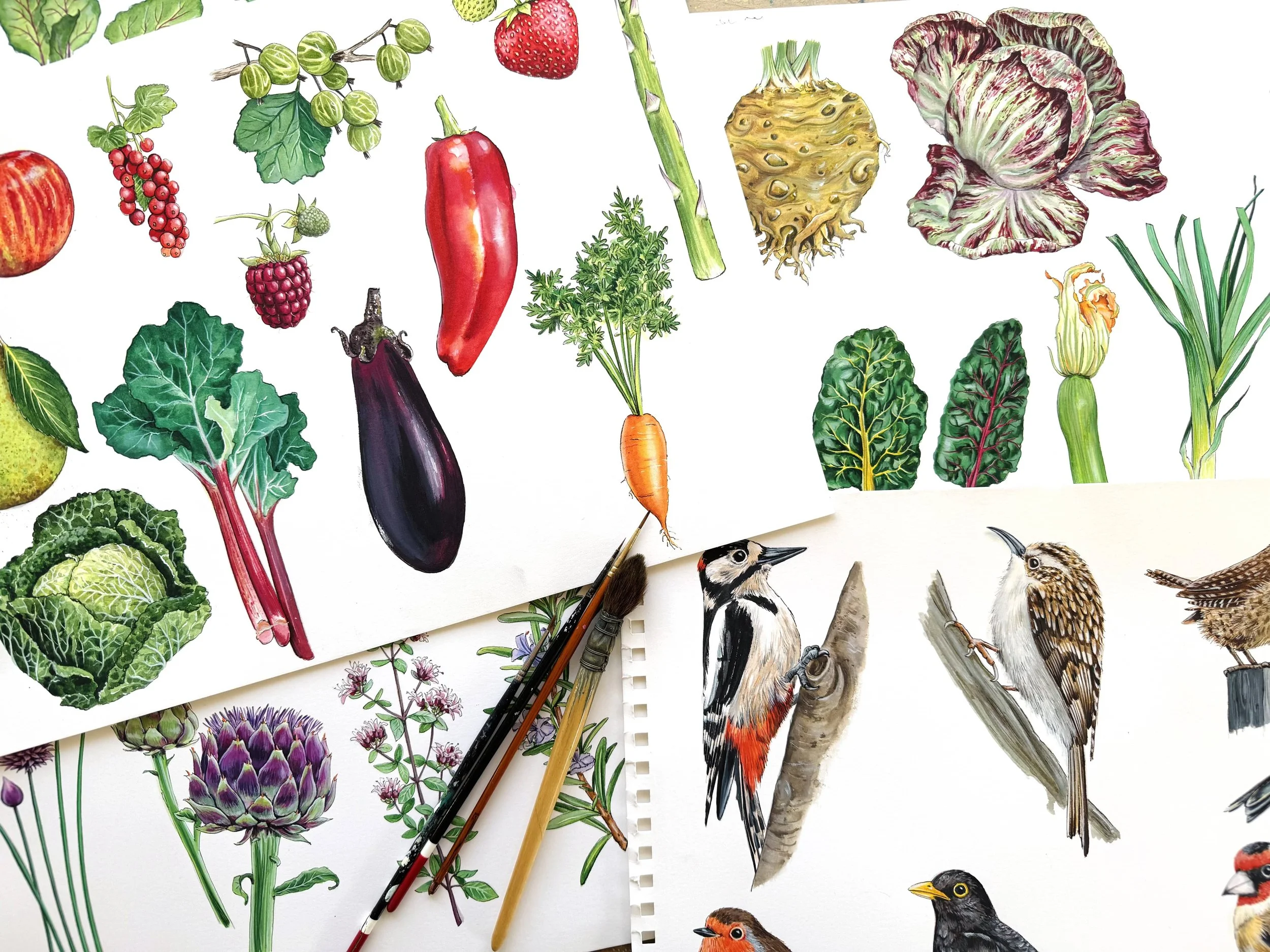 Engligh Heritage_vegetables.jpg