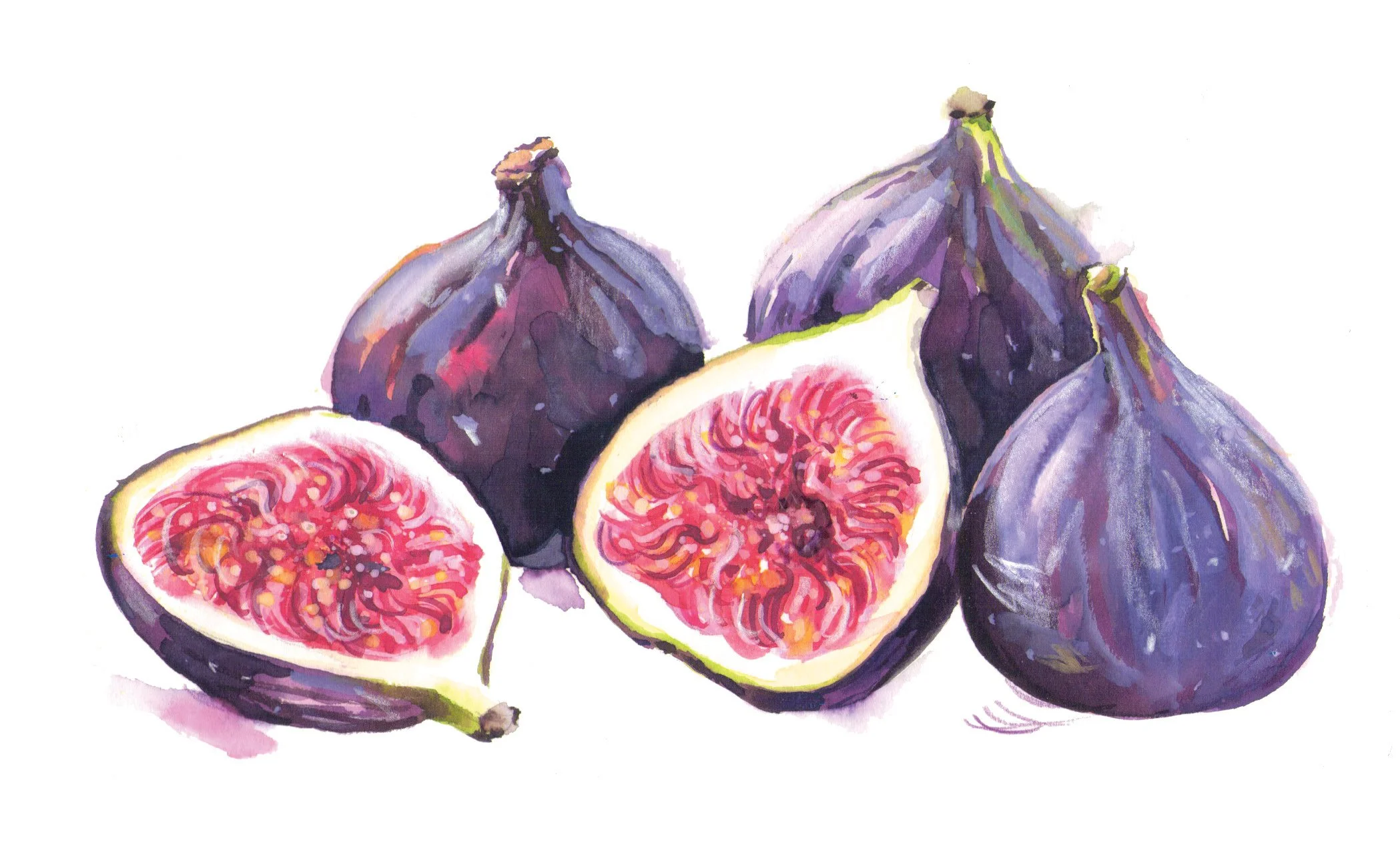 figs.jpg