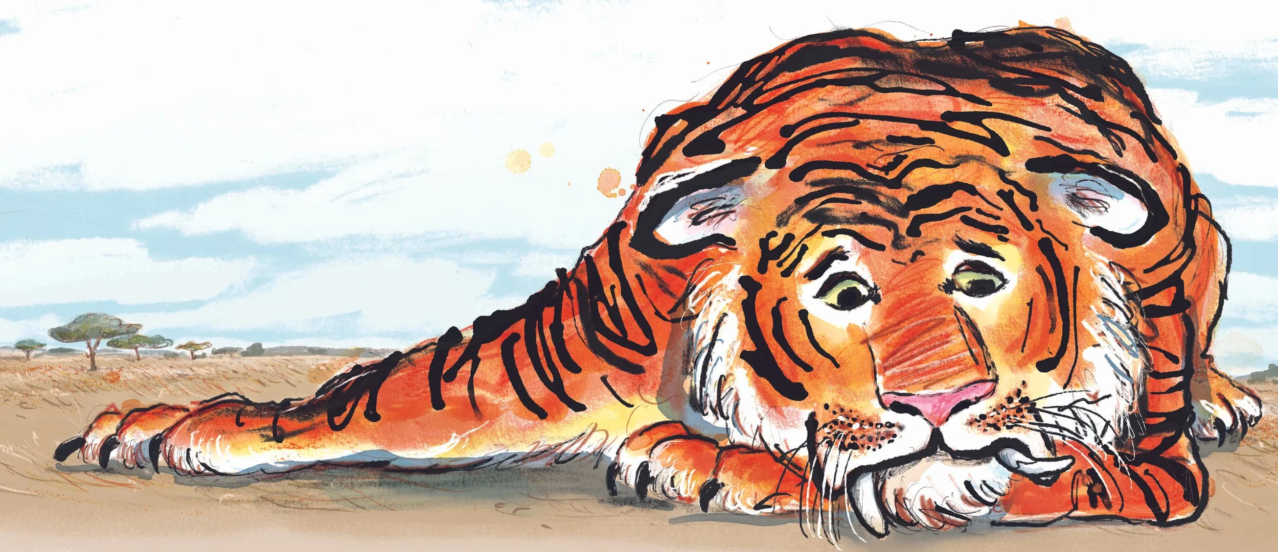 Tiger and the tooth fairy_1.jpg