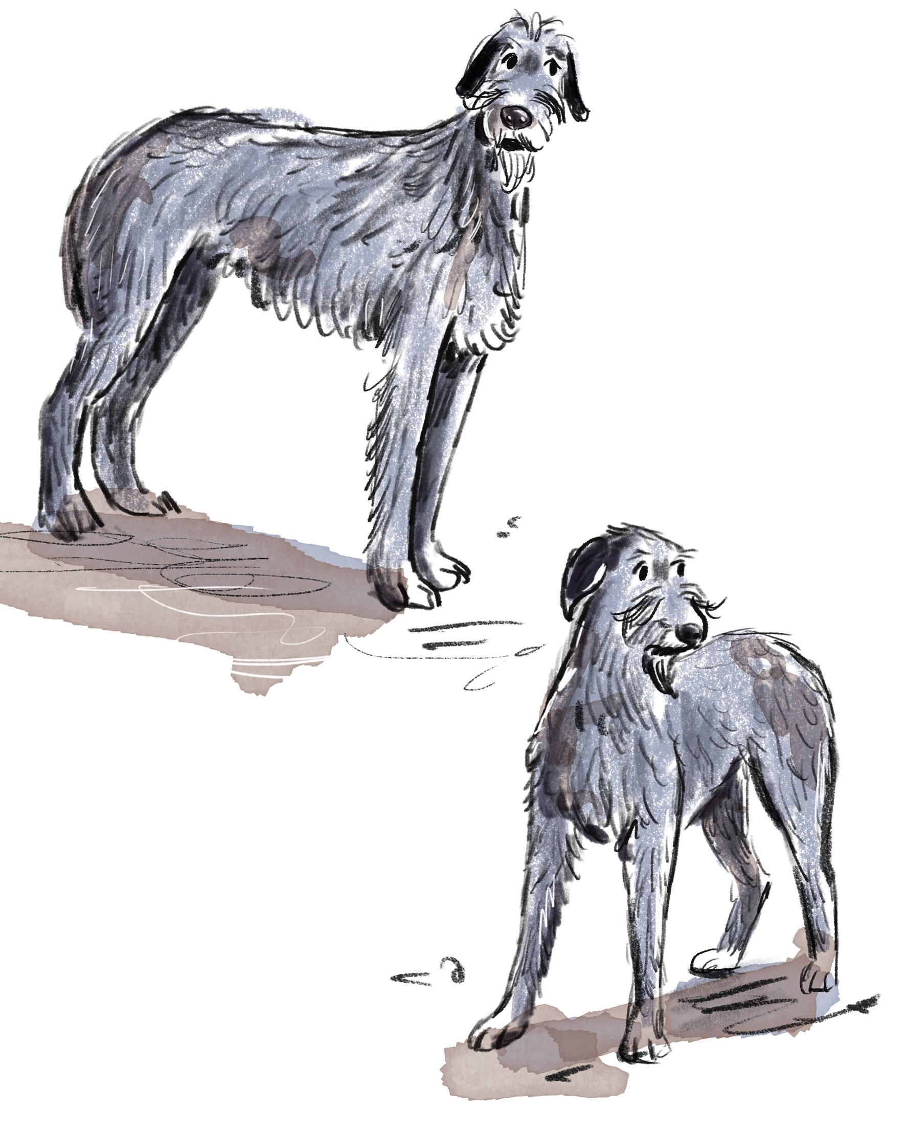 picture book thumbnails_greyhound