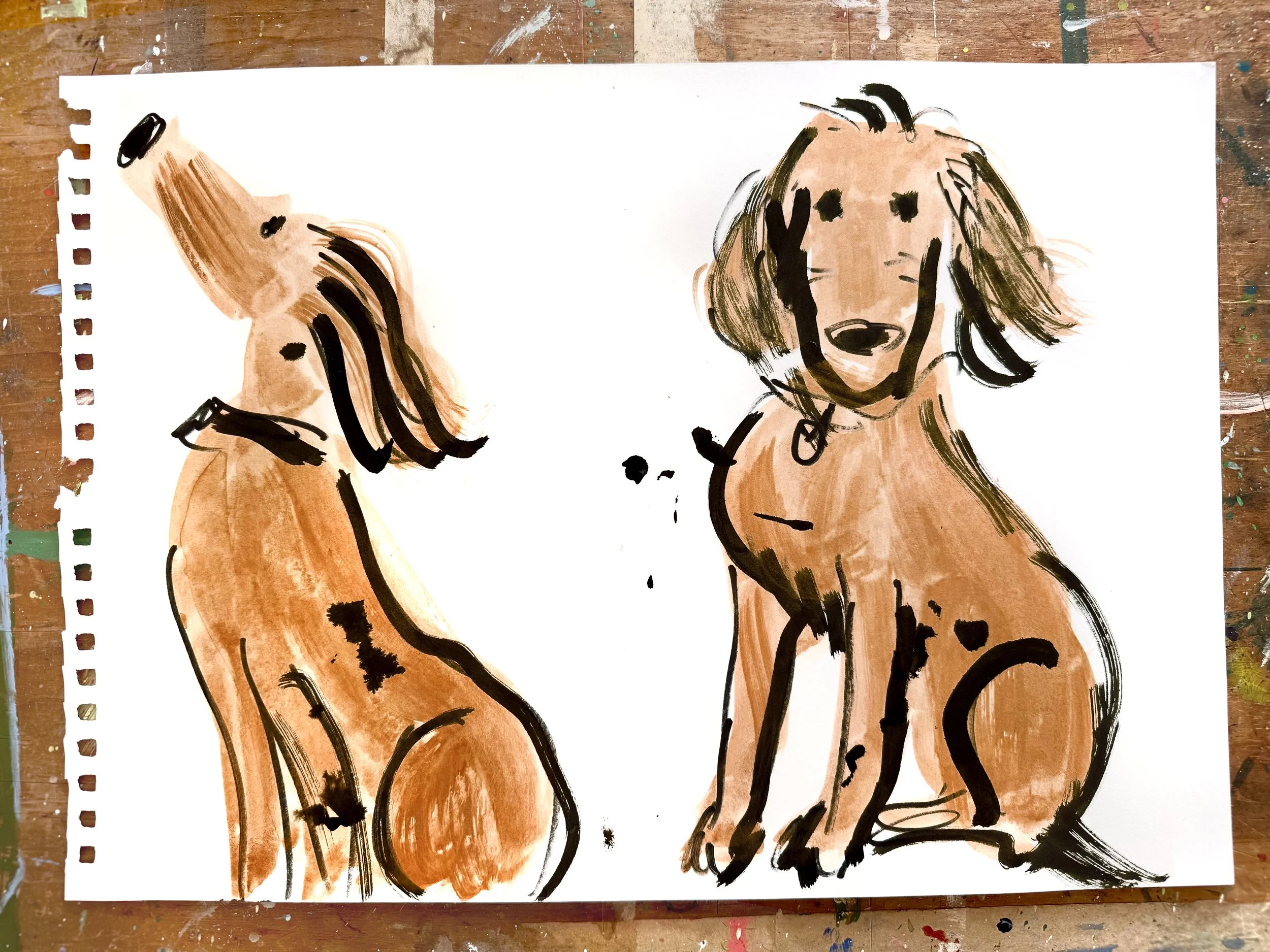Spaniel dog drawing.jpg