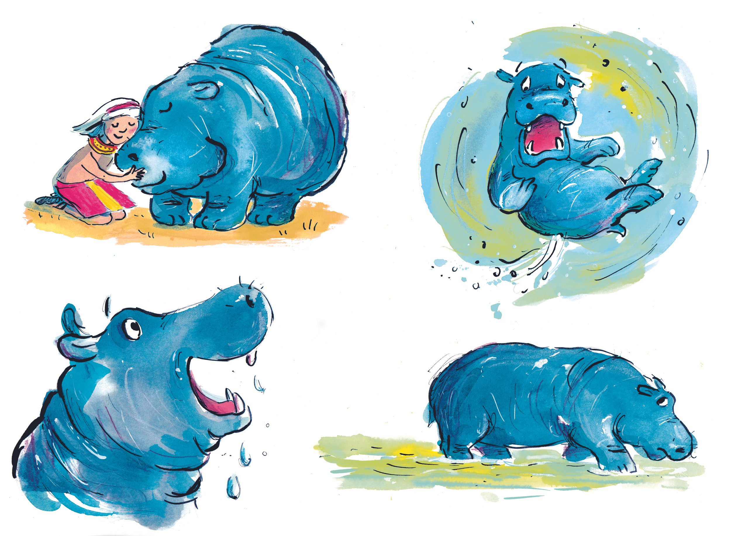Hippo Character studies.jpg