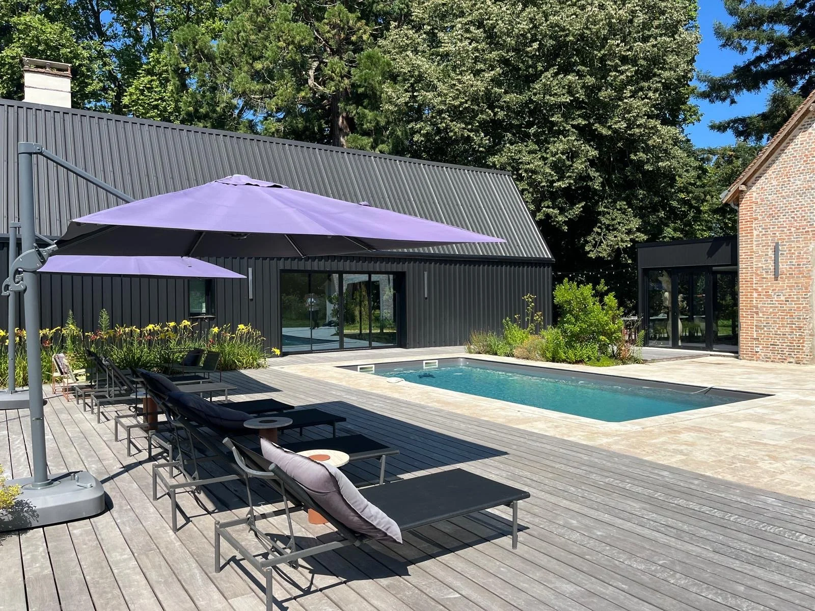 Outdoor pool area with black lounge chairs, purple umbrellas, and a rectangular pool, surrounded by a wooden deck and greenery, with a black modern building and a brick house in the background.