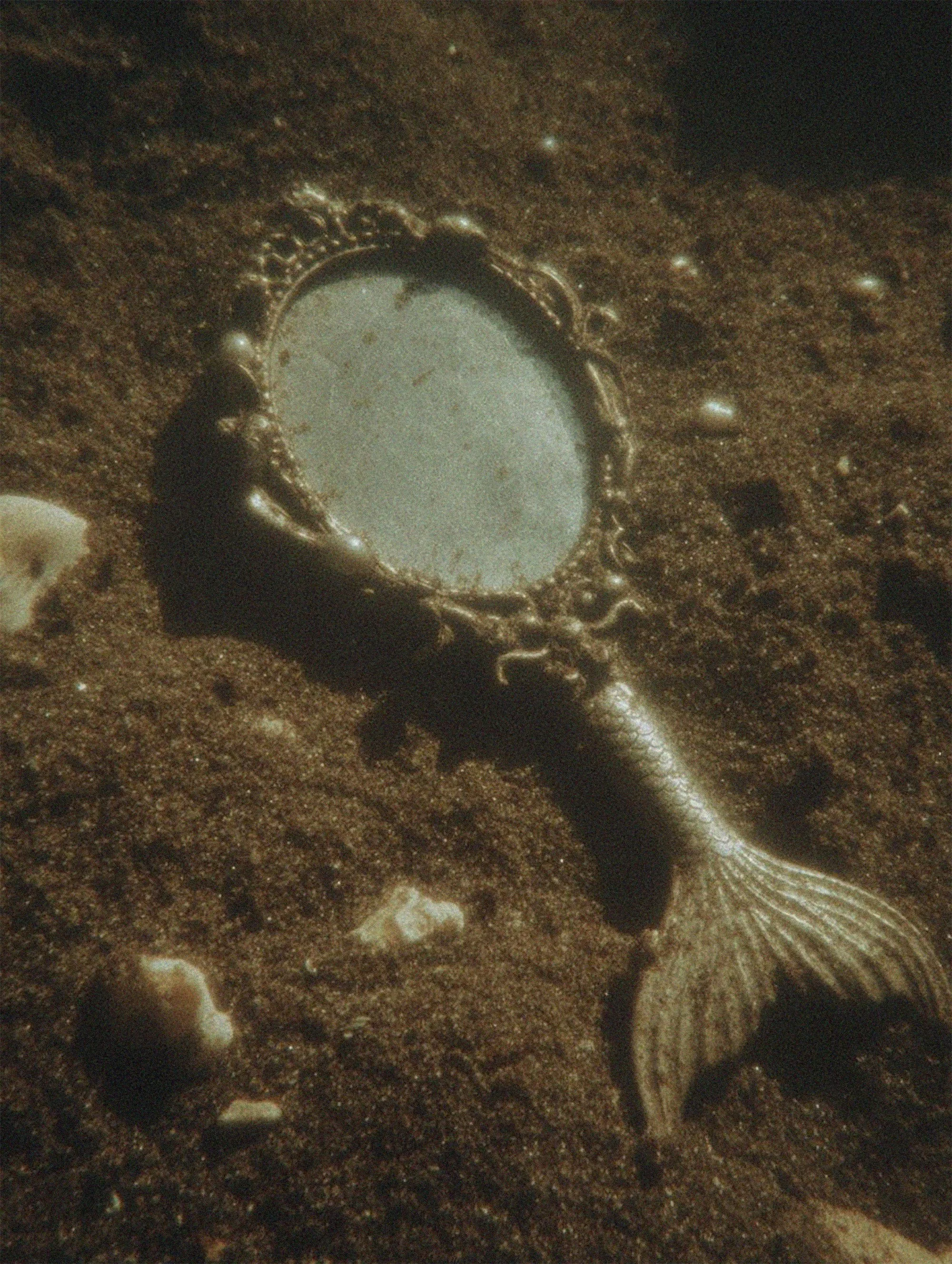 A fish with a mirror-like object on its head standing on sandy ocean floor.