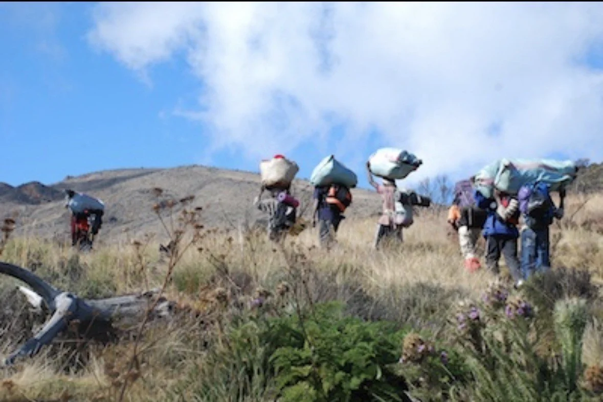 A group of hikers with backpacks walking uphill on a grassy trail in a hilly landscape, under a partly cloudy sky.
