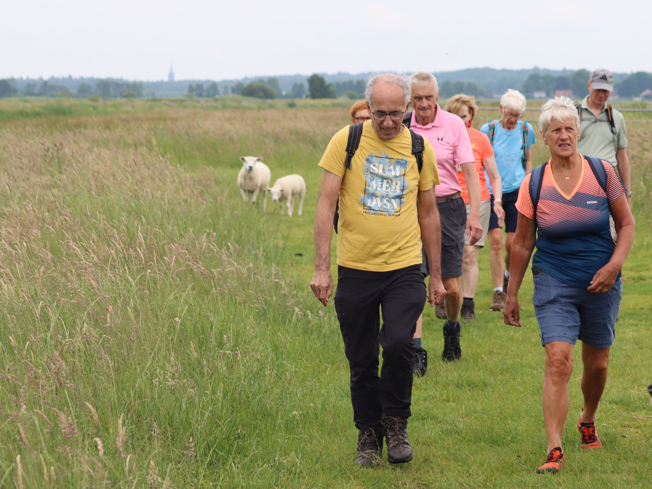 MAARSEVEEN 26 MEI 2025