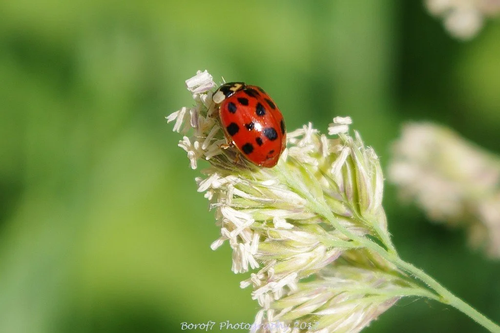 Almere - 5 juni 2017