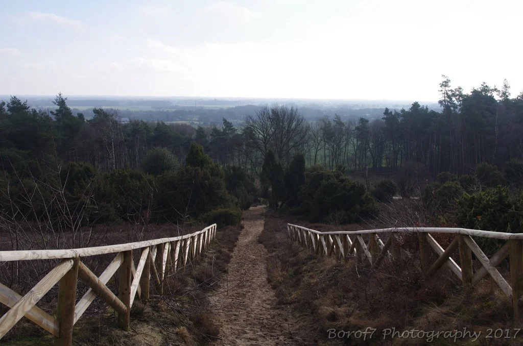 Archemerberg - 19 februari 2017