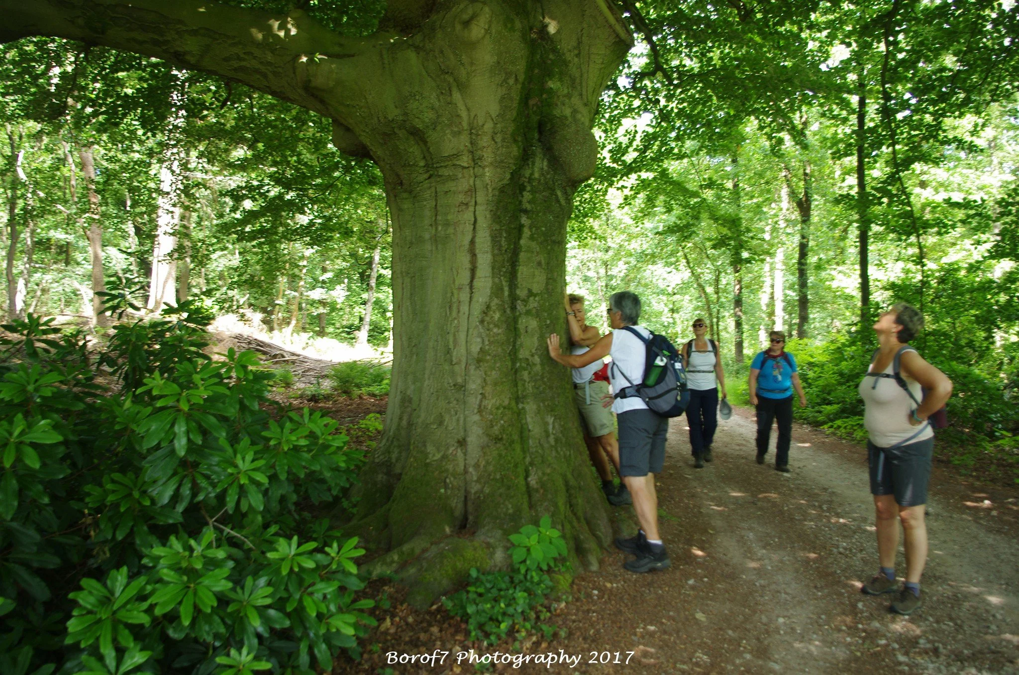 De Pyramide van Austerlitz - 18 juni 2017