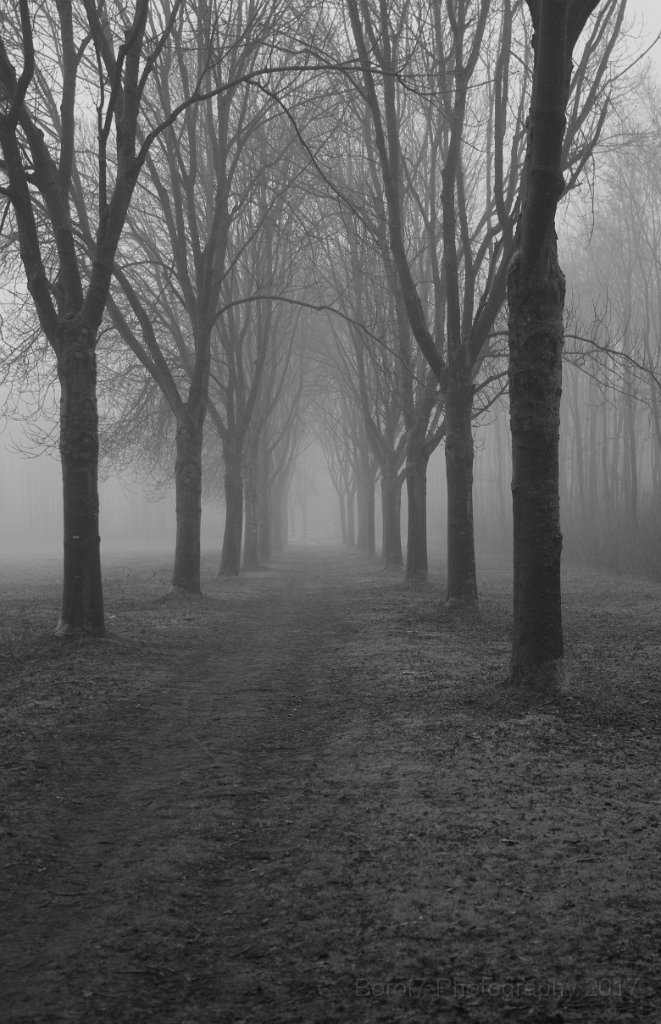 Buiten - 5 februari 2017