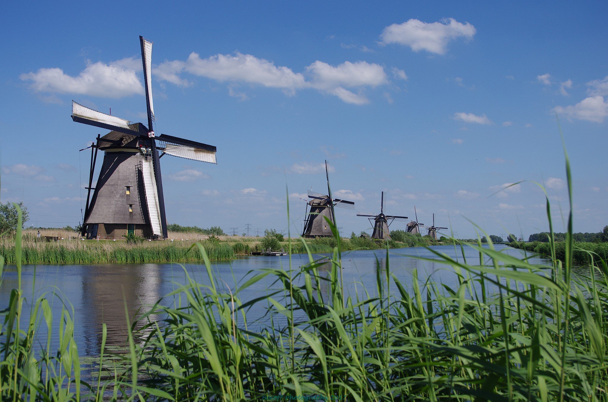 Koningswandeling - 28 april 2017