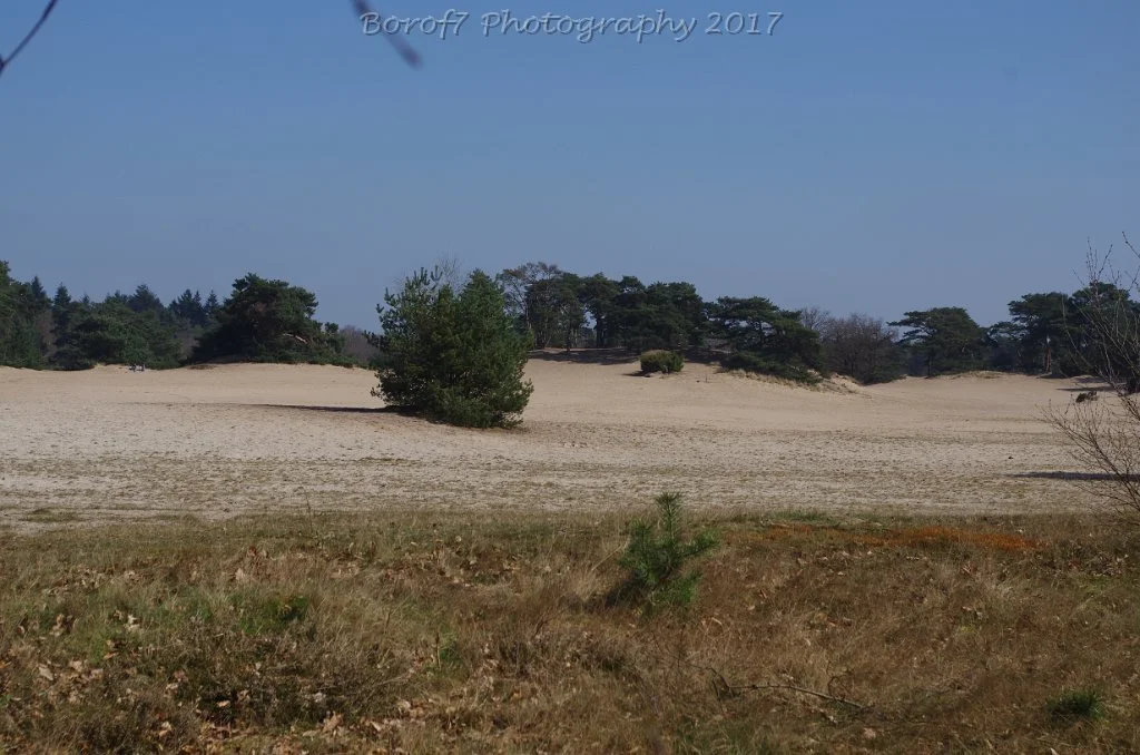 Soest - 10 april 2017