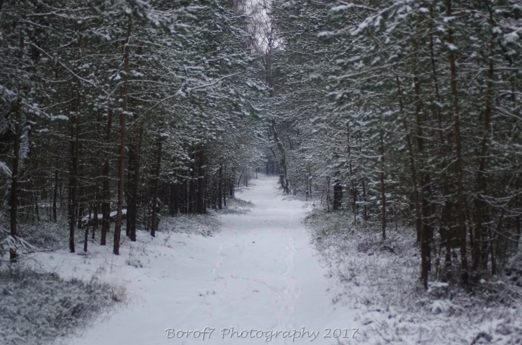 Winter Stakenberg - 12 februari 2017