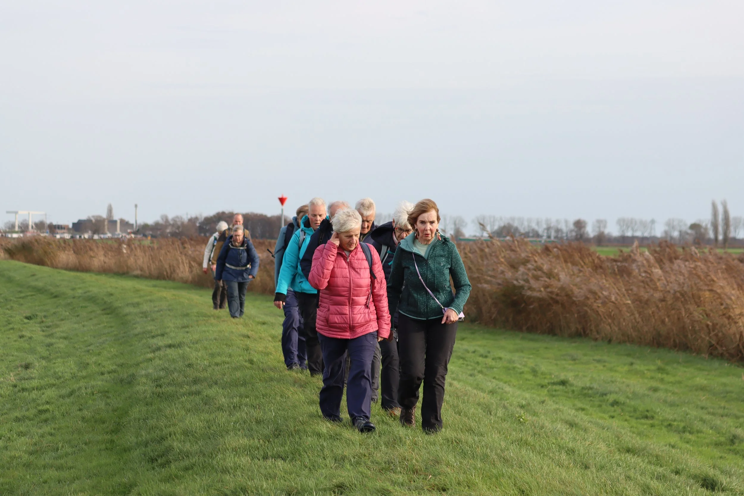 Tussen de Wierden en Zwartsluis  24 november 2024
