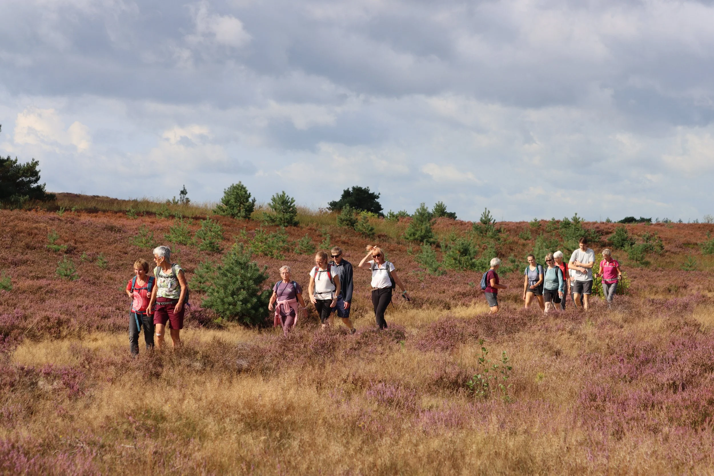Stakenberg Heideroute 25 augustus 2024
