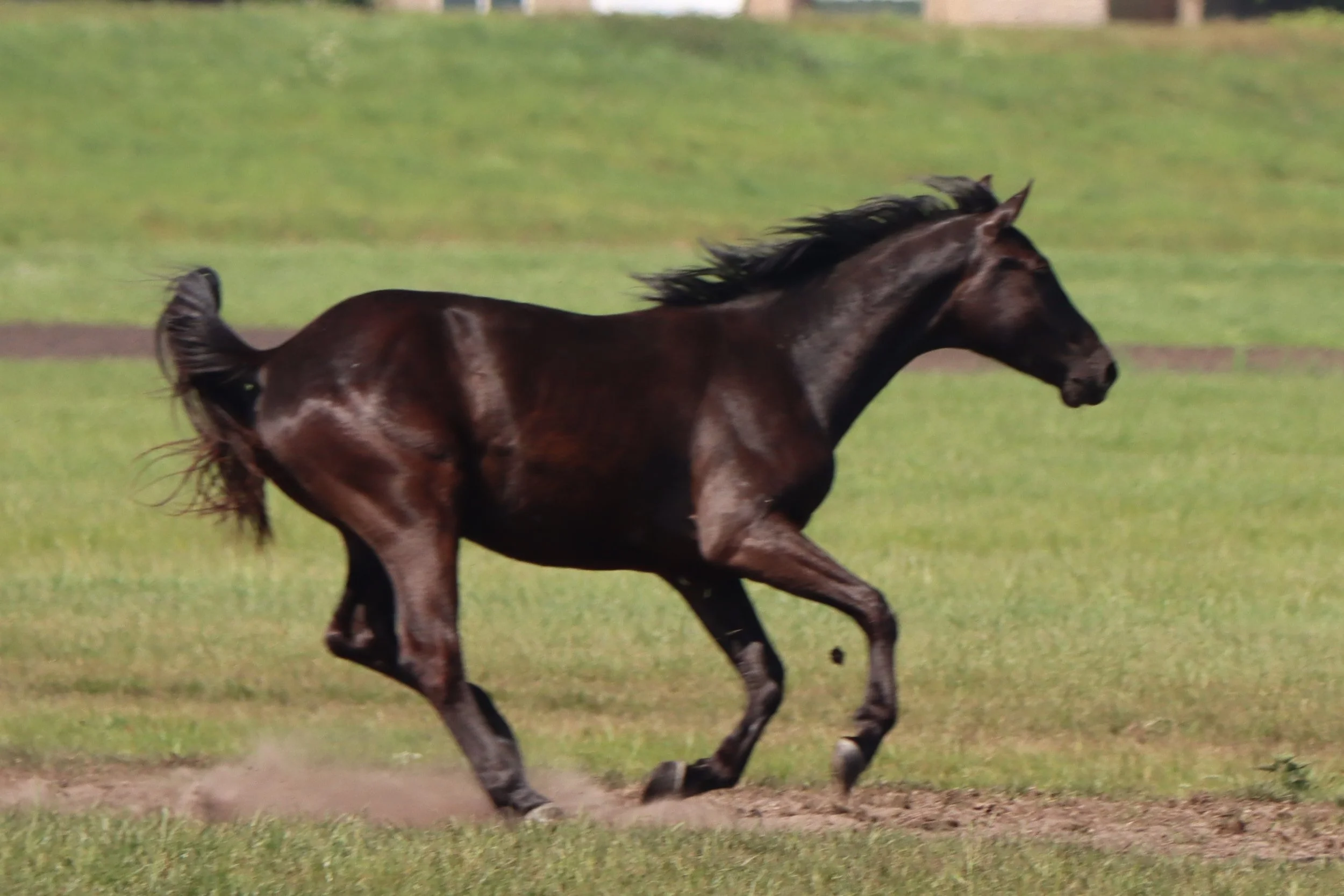 Tjeukermeer 15 mei 2022