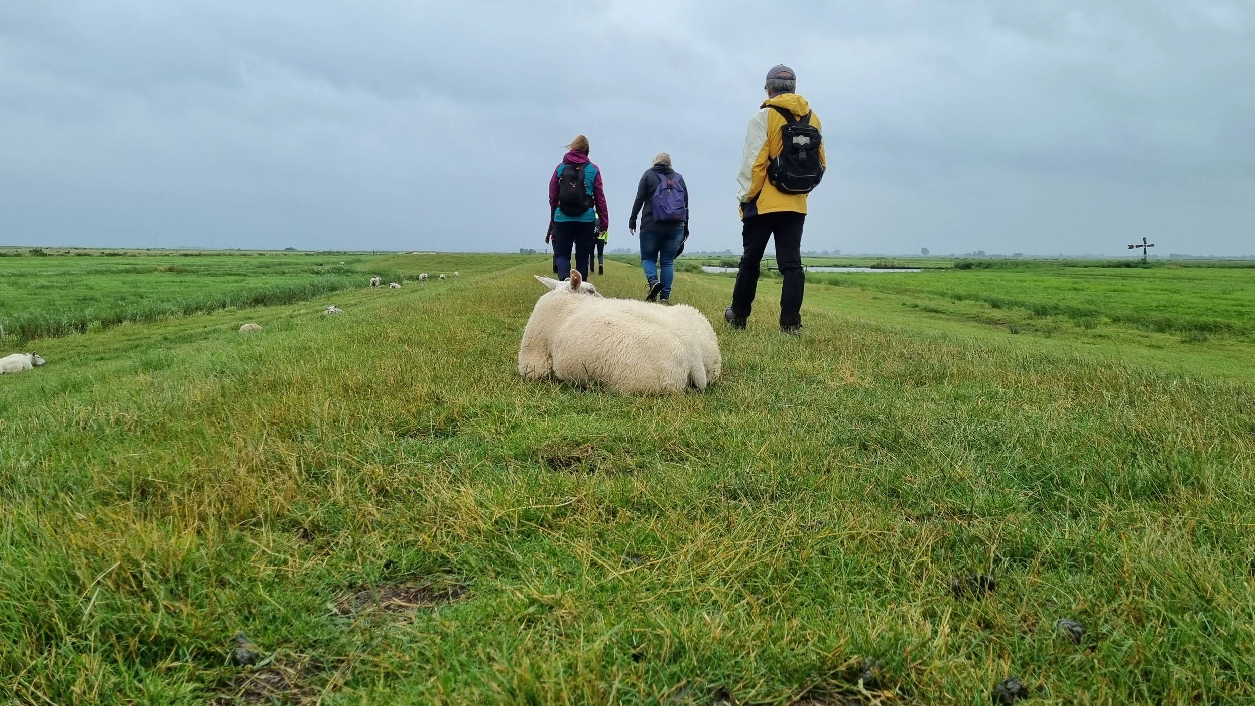 Sluiswaai 23 juli 2023