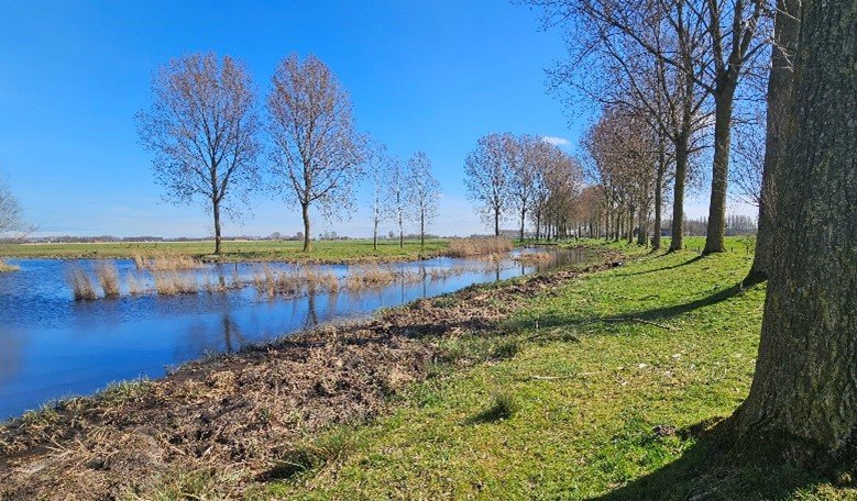 Lentebos met bomen langs een rivier onder een heldere blauwe lucht.