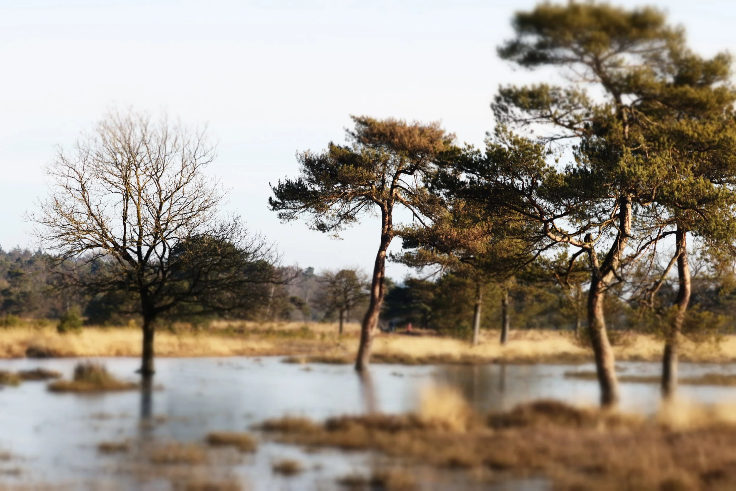 Leersum stormpad 16 februari 2025