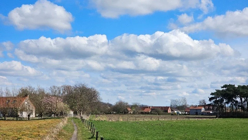 Een landelijk landschap met een pad dat door een groen weiland leidt, huizen in de achtergrond, en een blauwe lucht met witte wolken.
