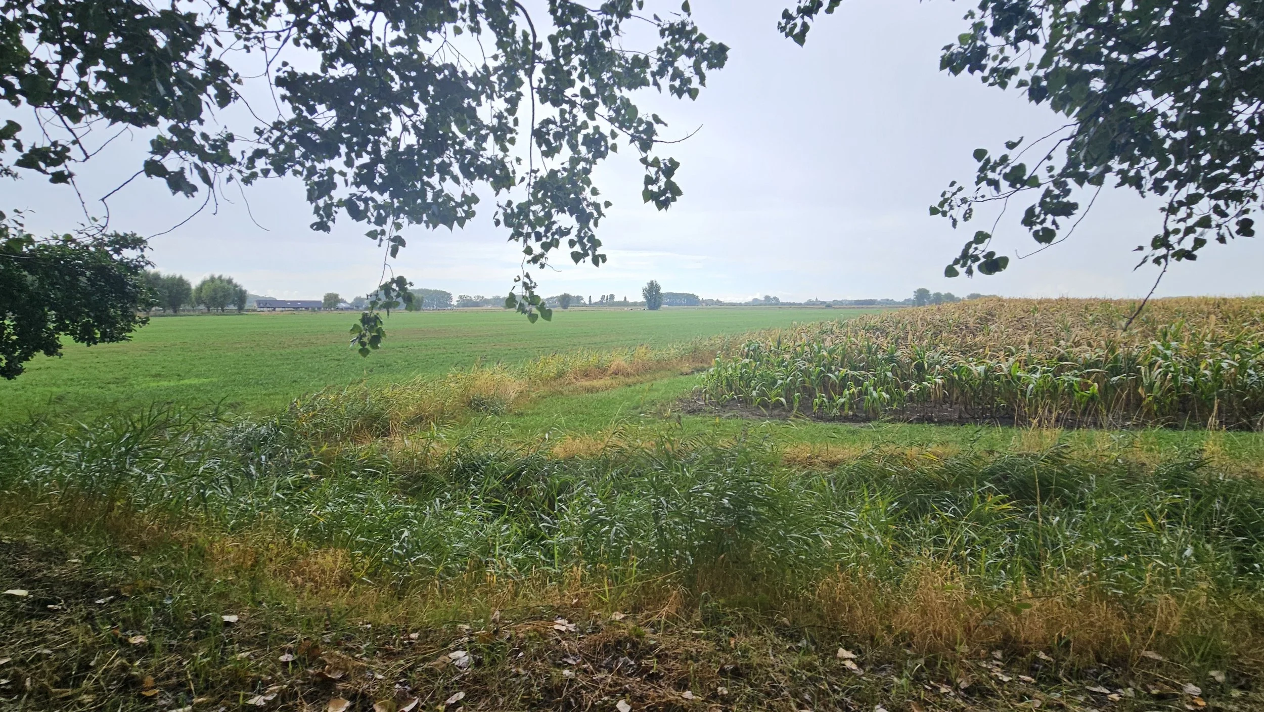 ROKZ Wandelweekend dag 1 28 augustus 2026
