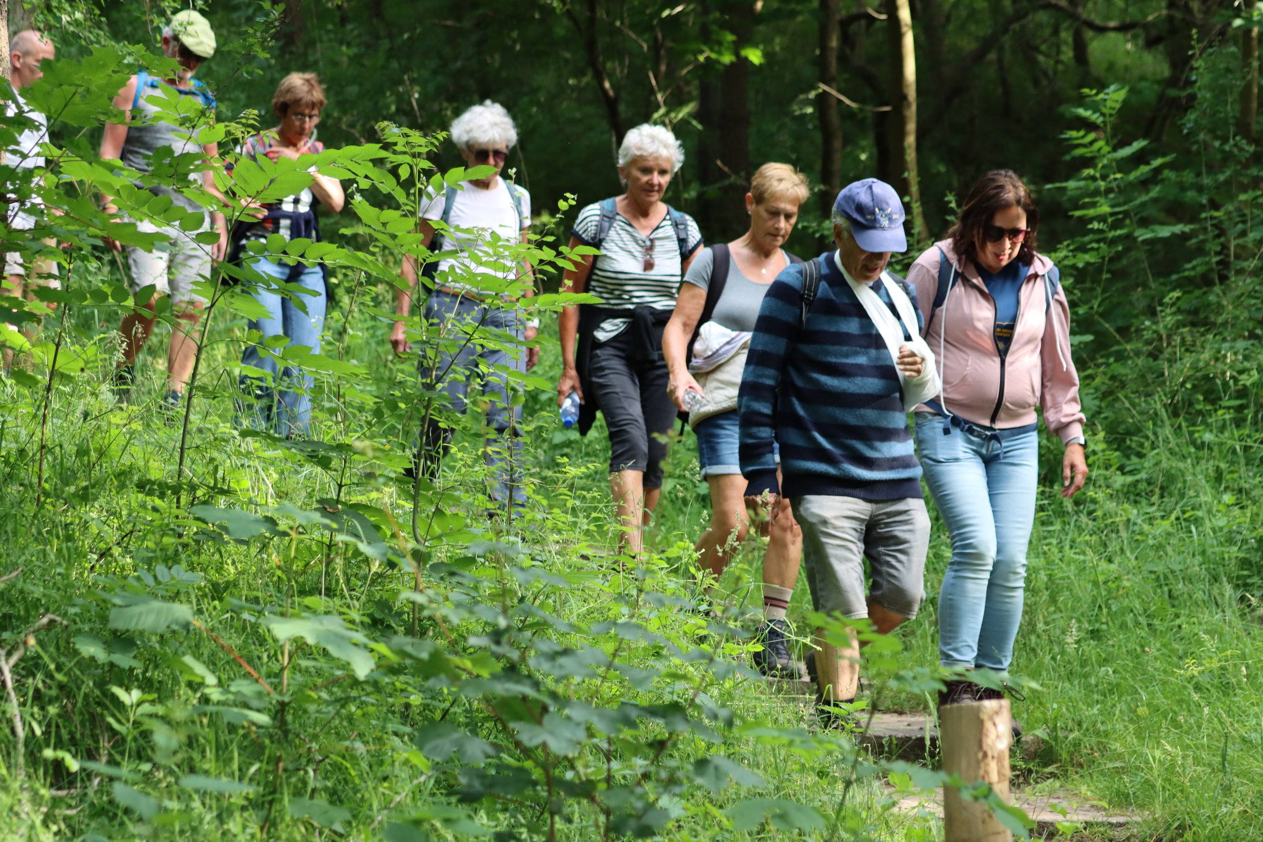 Midzomeravondwandeling 18 juni 2022
