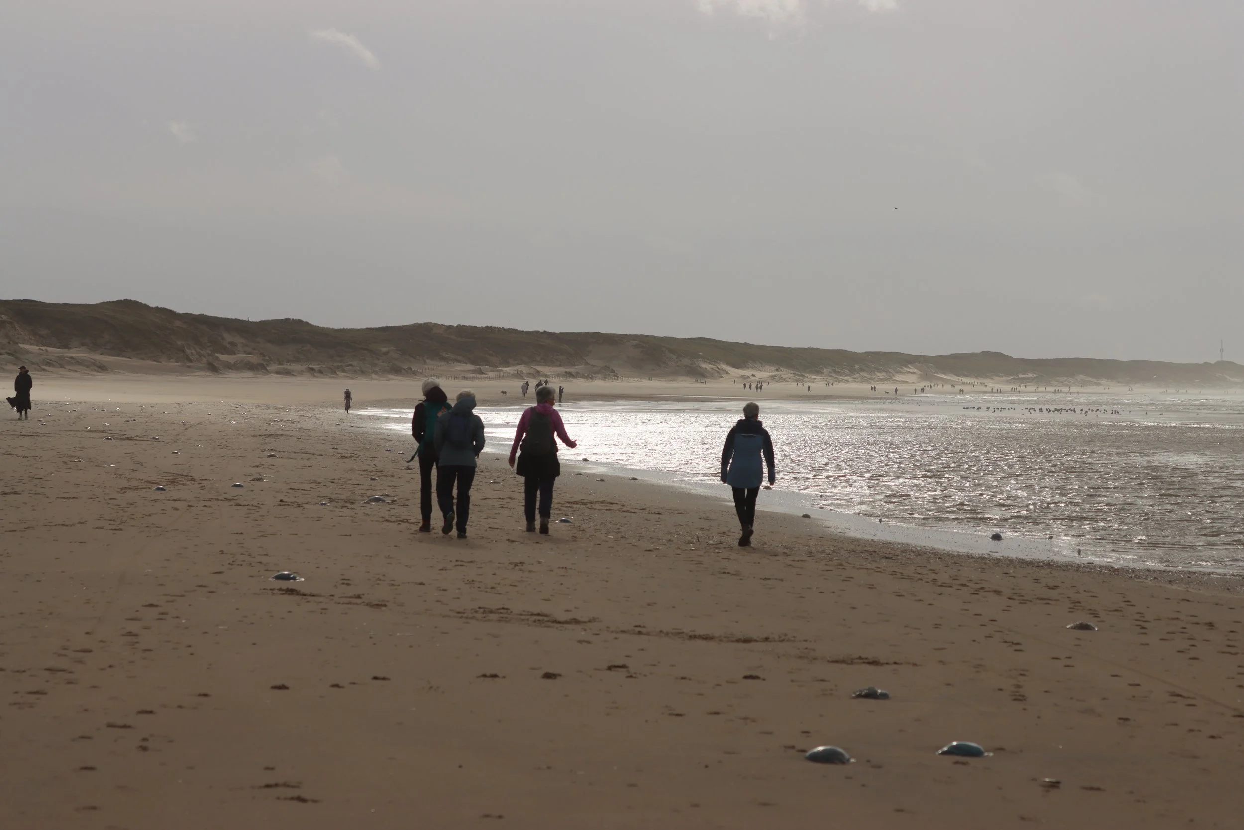 Velsen 29 oktober 2023