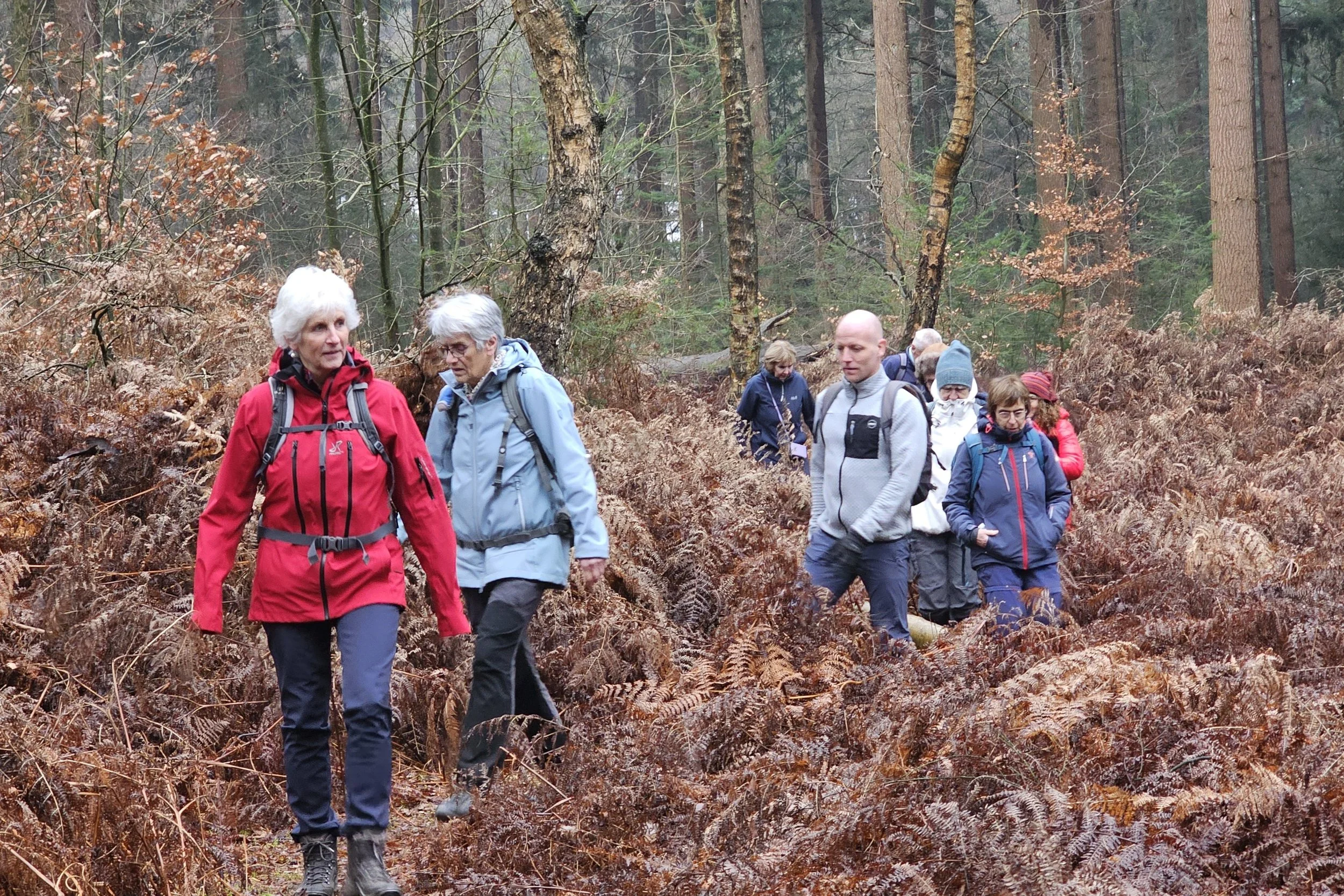 Eindejaar wandeling 15 december 2024